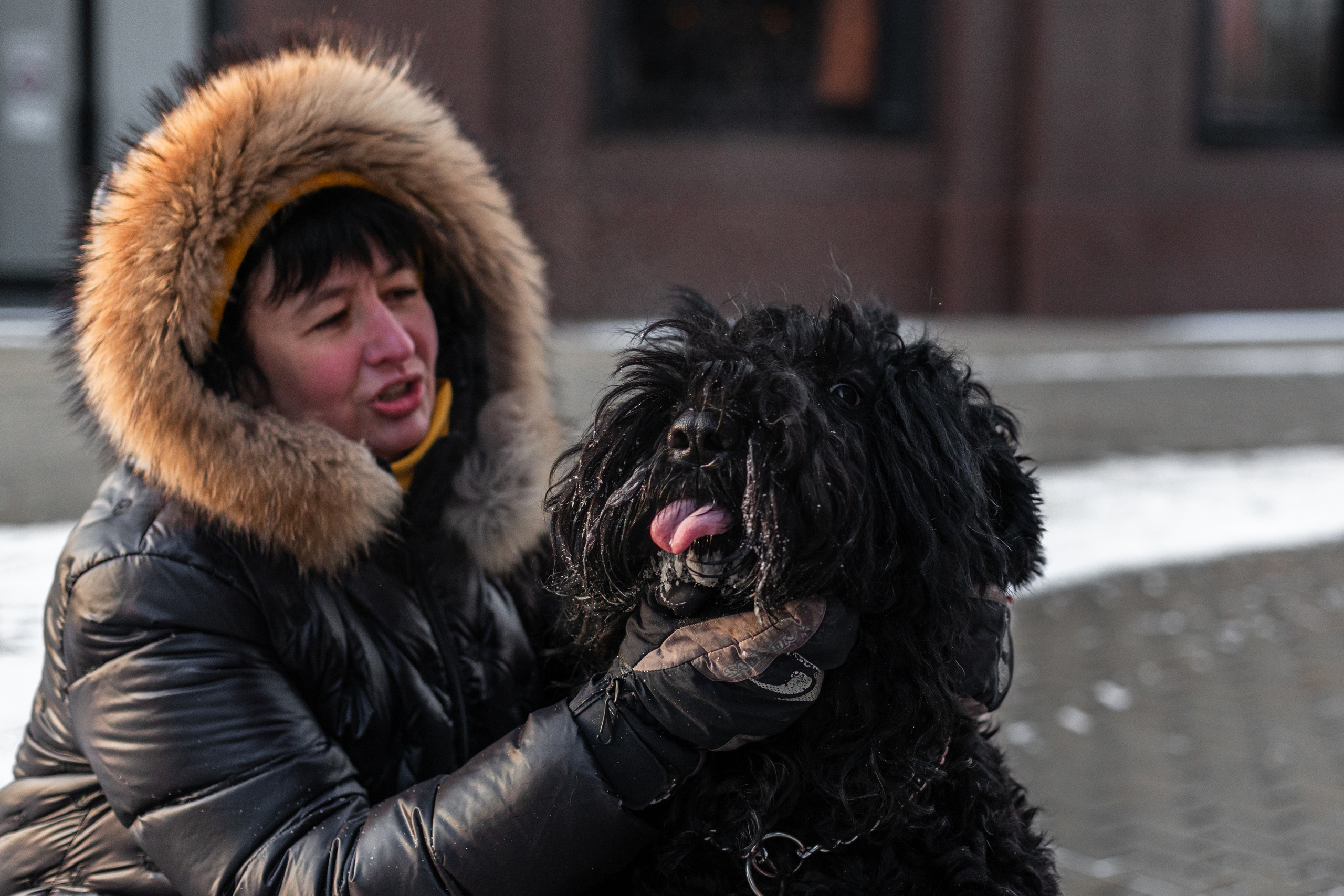 Фотопрогулка завод Арма. Фотограф-анималист Татьяна Степанова