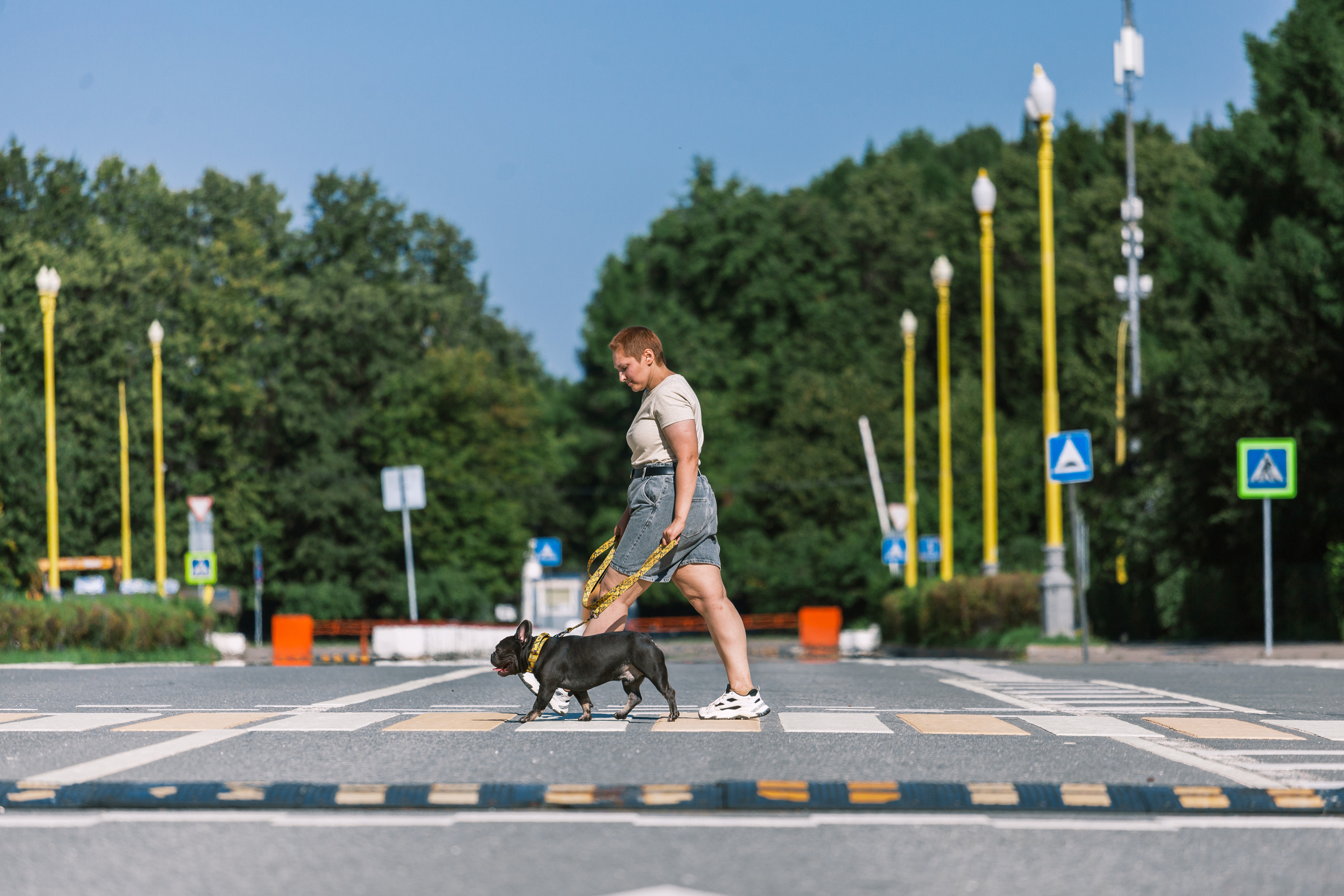 Фотопрогулка у МГУ. Фотограф-анималист Татьяна Степанова