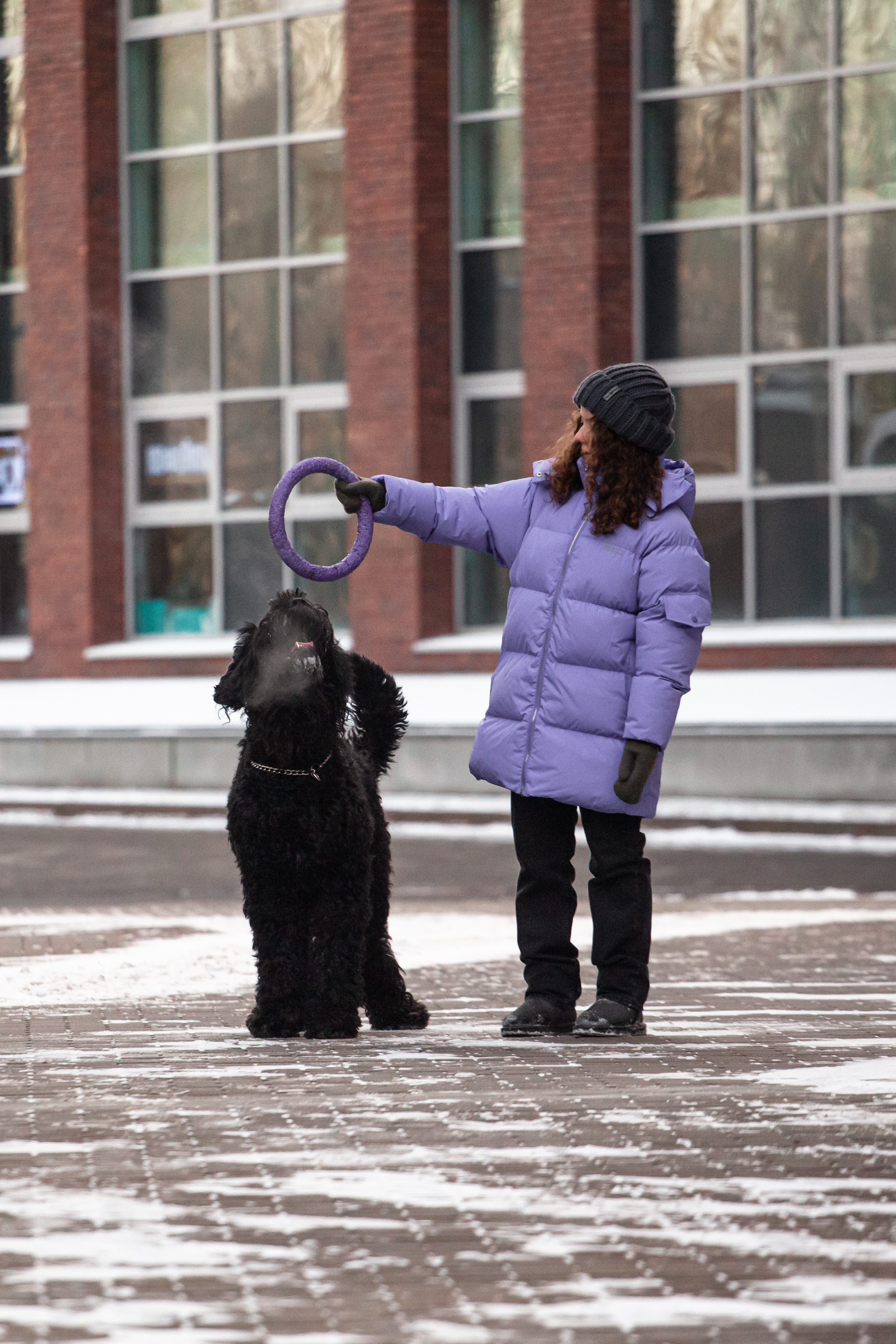Фотопрогулка завод Арма. Фотограф-анималист Татьяна Степанова