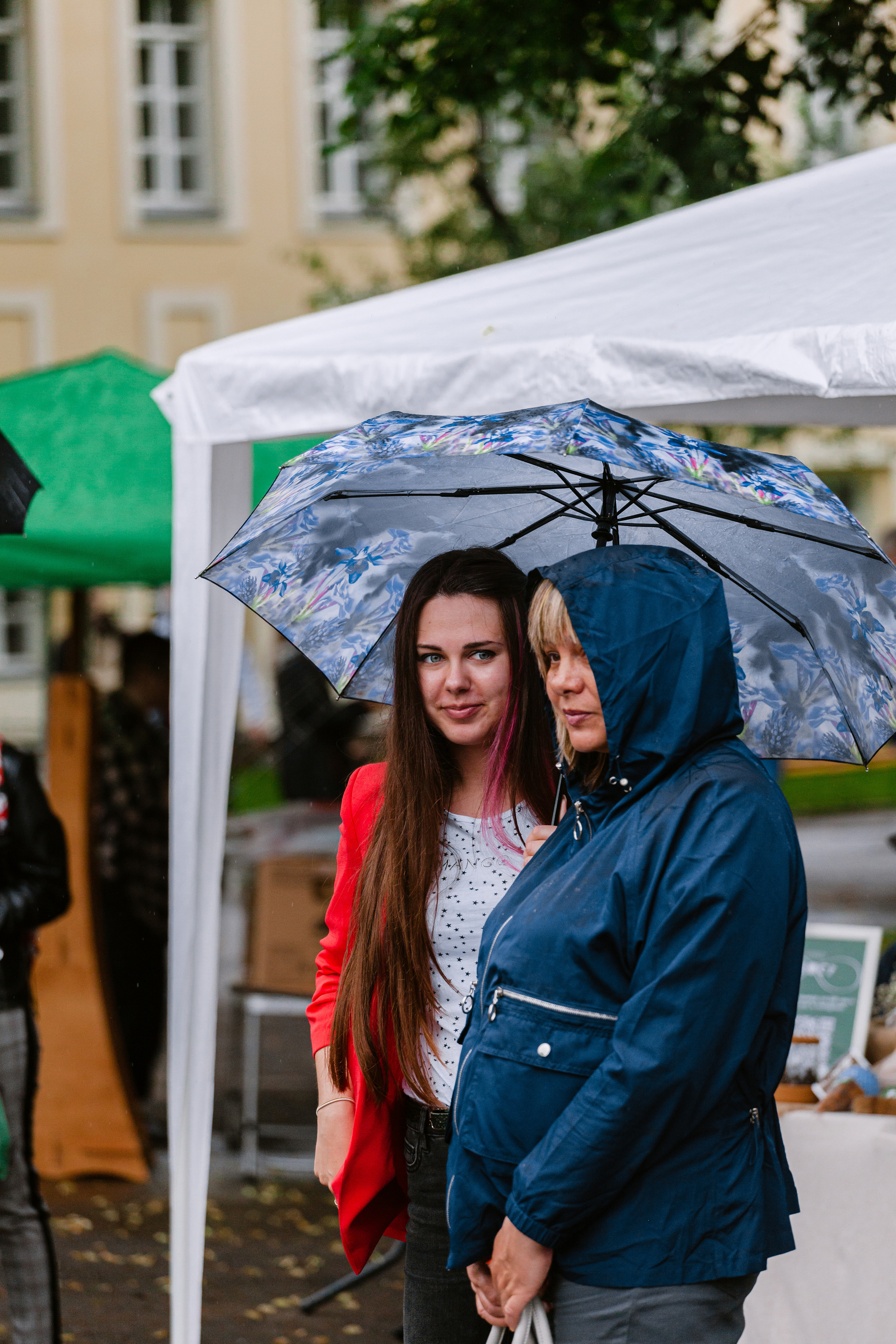 Парад французских бульдогов 15.07.2023. Фотограф-анималист Татьяна Степанова