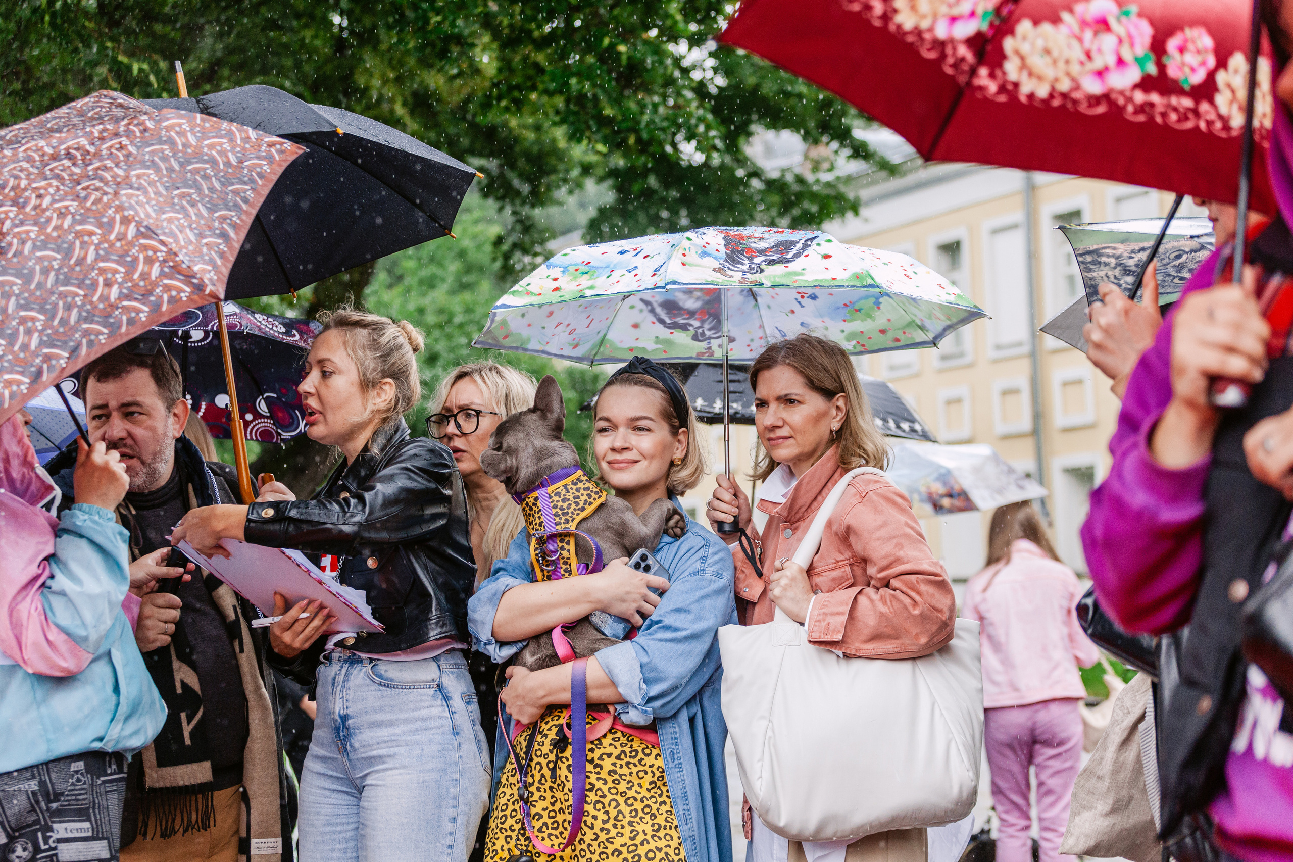 Парад французских бульдогов 15.07.2023. Фотограф-анималист Татьяна Степанова