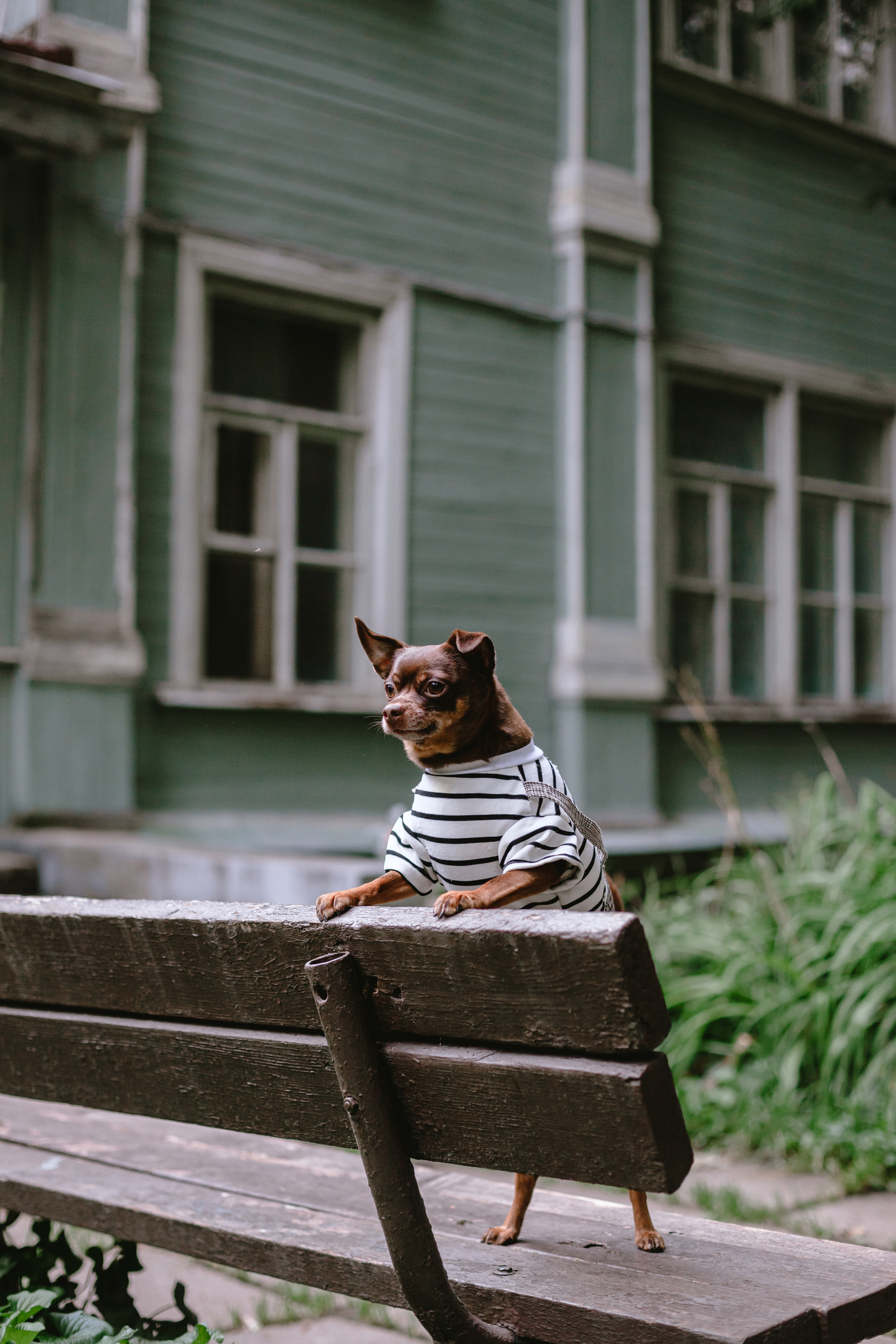 Юля и Леонид. Фотограф-анималист Татьяна Степанова