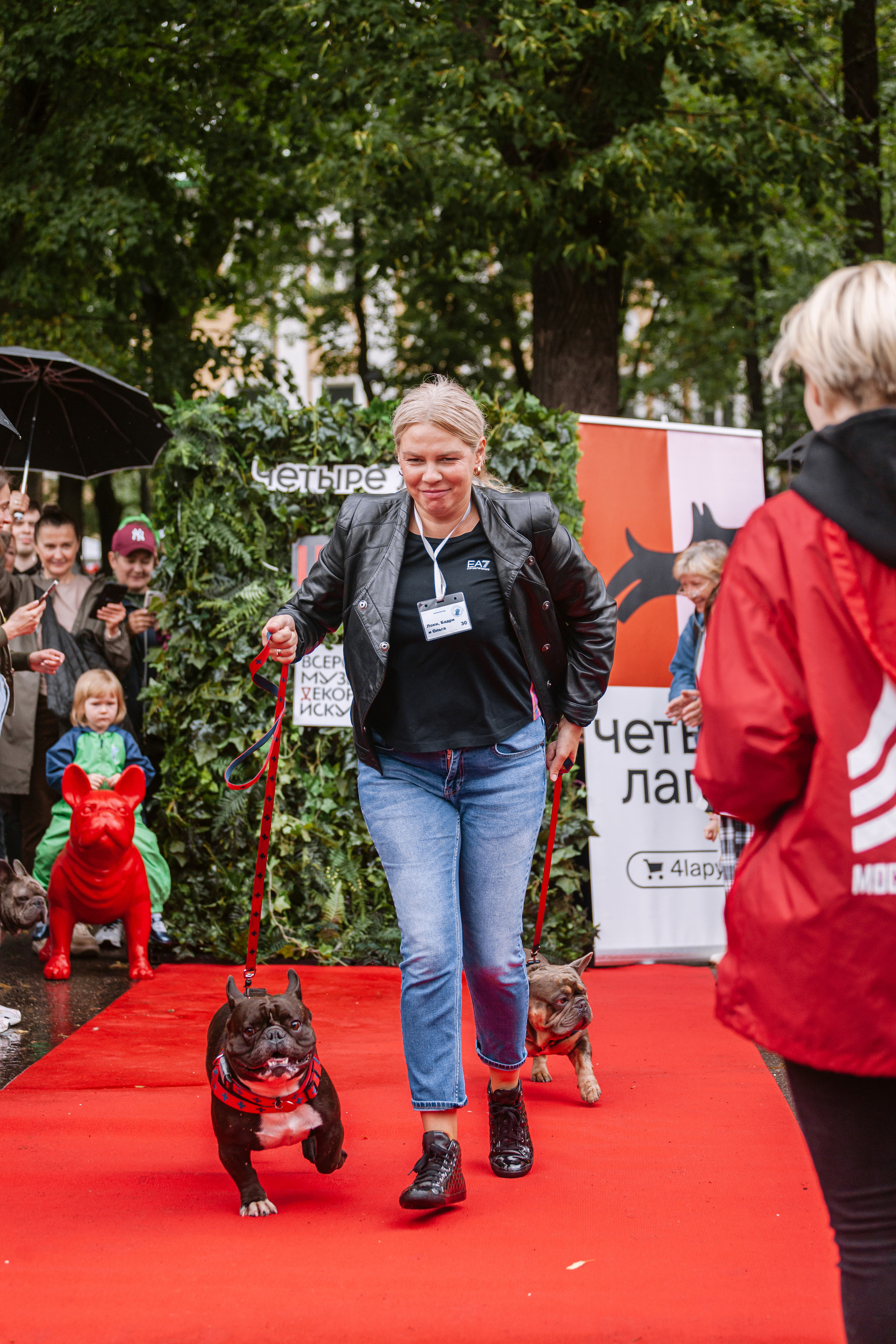 Парад французских бульдогов 15.07.2023. Фотограф-анималист Татьяна Степанова