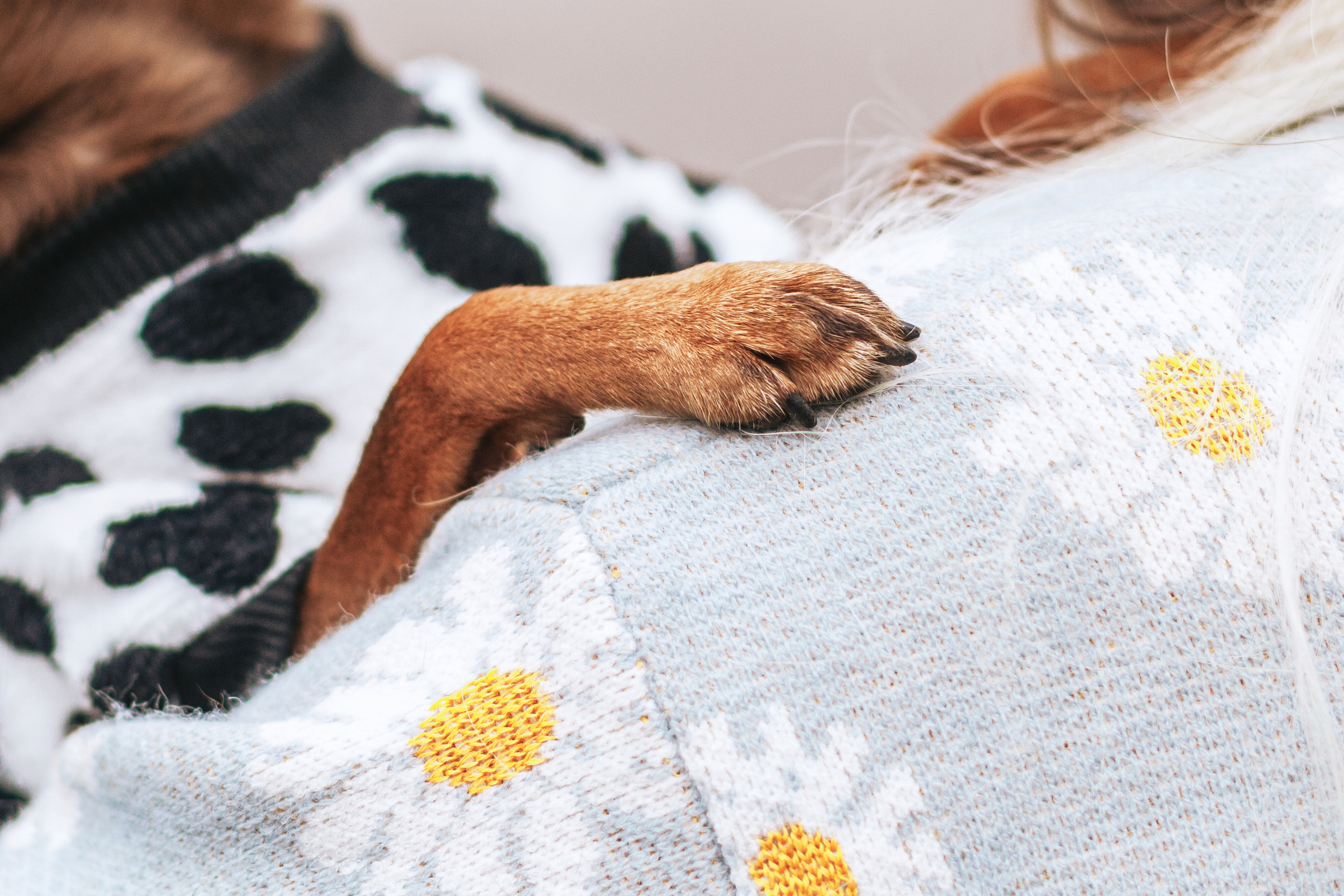 Юля и Леонид. Фотограф-анималист Татьяна Степанова