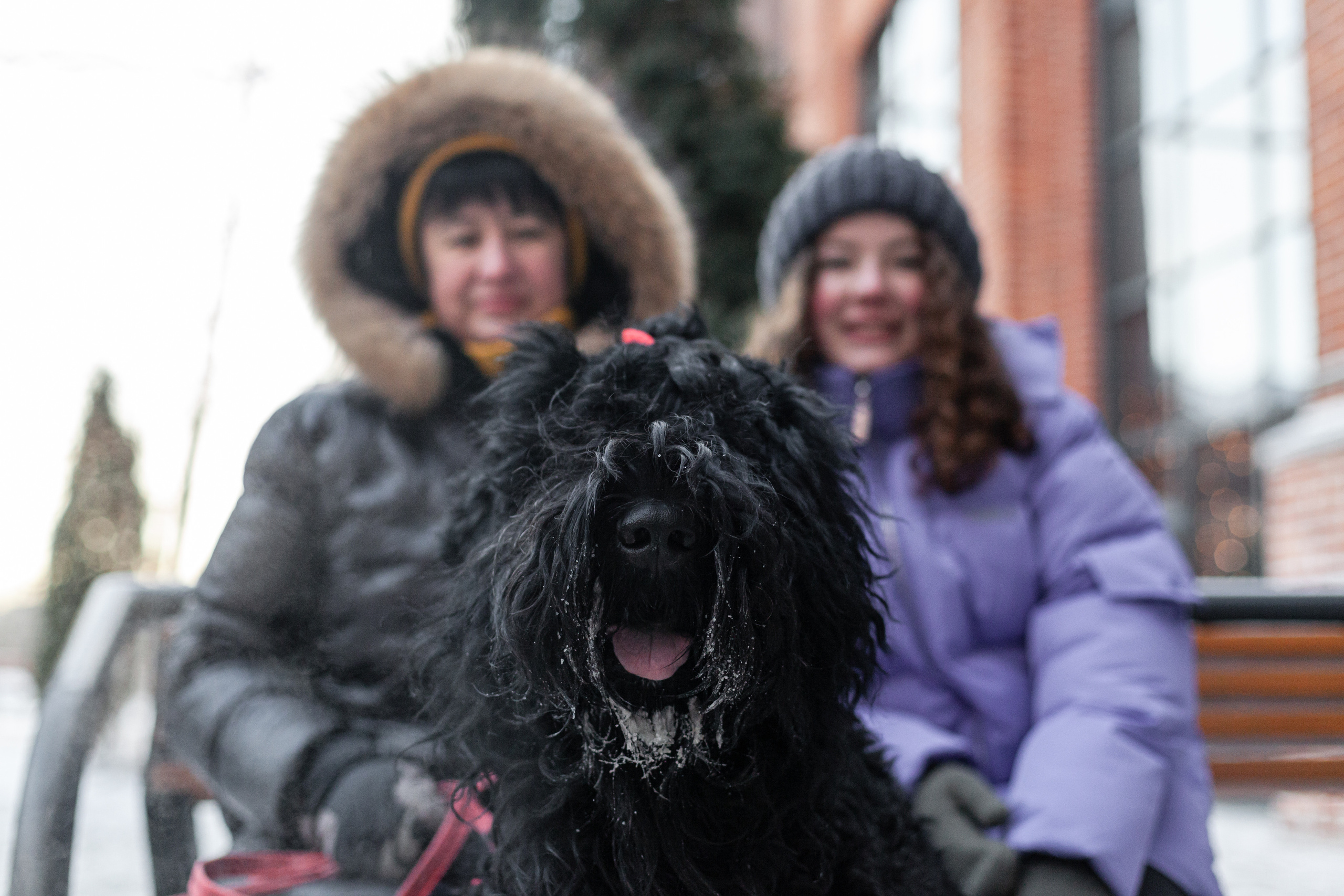 Фотопрогулка завод Арма. Фотограф-анималист Татьяна Степанова
