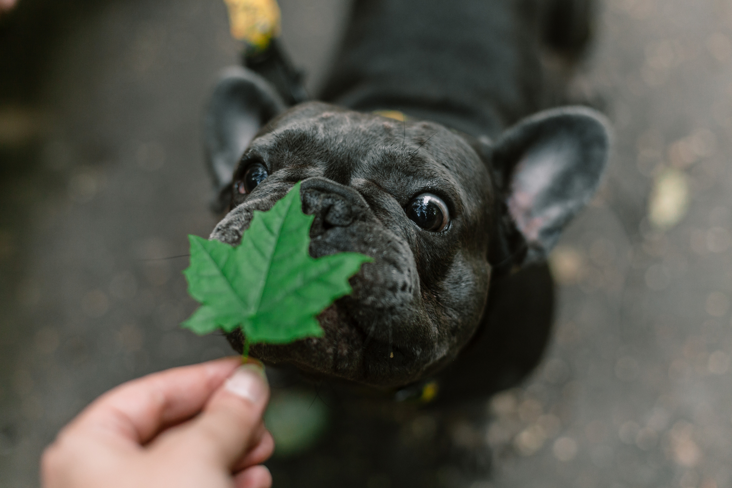 Фотопрогулка у МГУ. Фотограф-анималист Татьяна Степанова