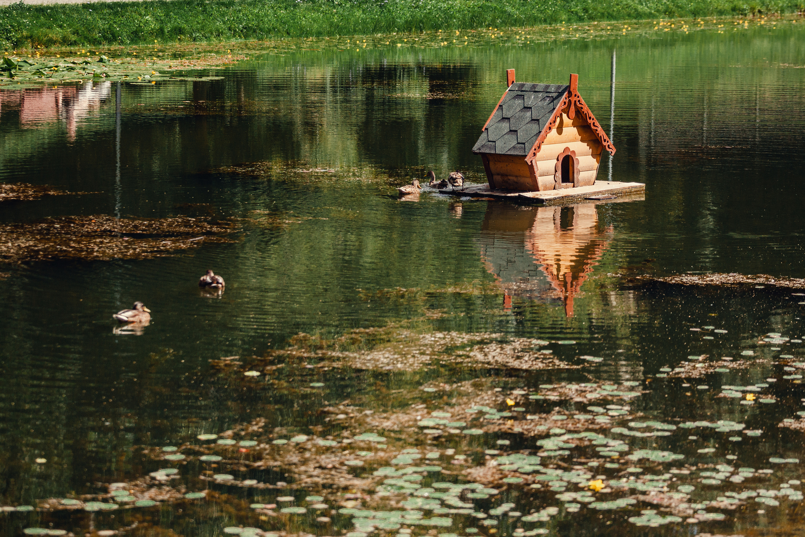 Оля и Ася. Фотограф-анималист Татьяна Степанова