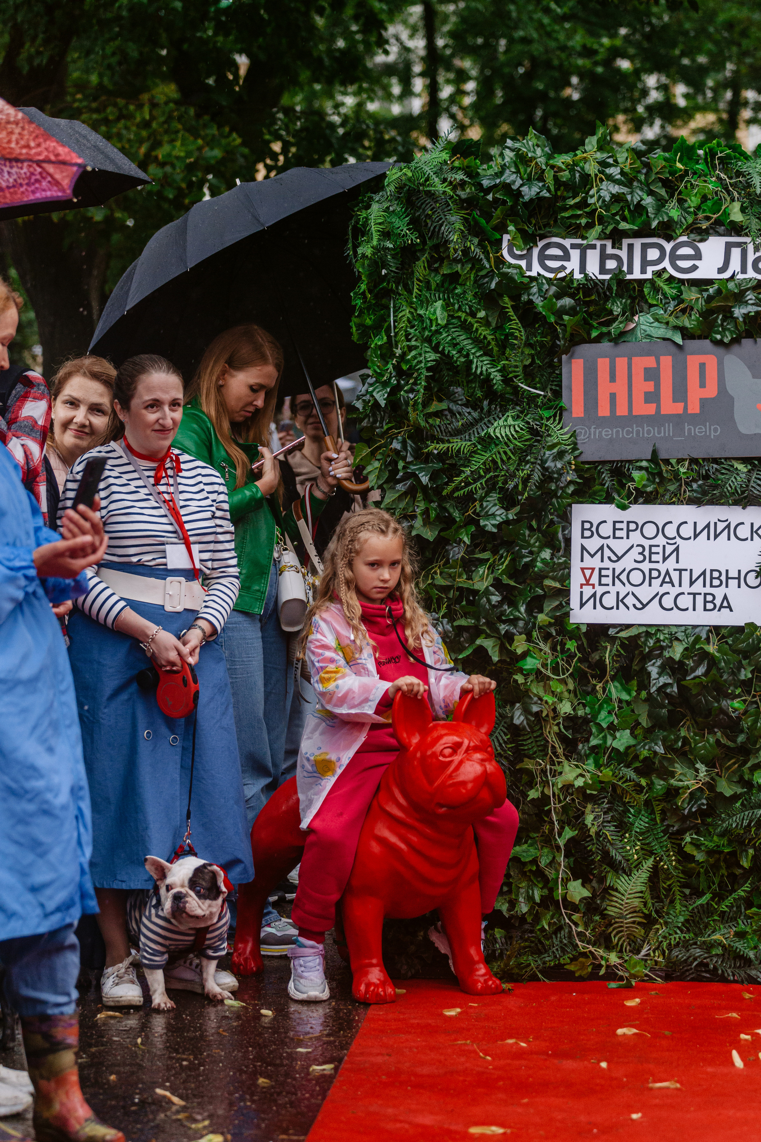 Парад французских бульдогов 15.07.2023. Фотограф-анималист Татьяна Степанова