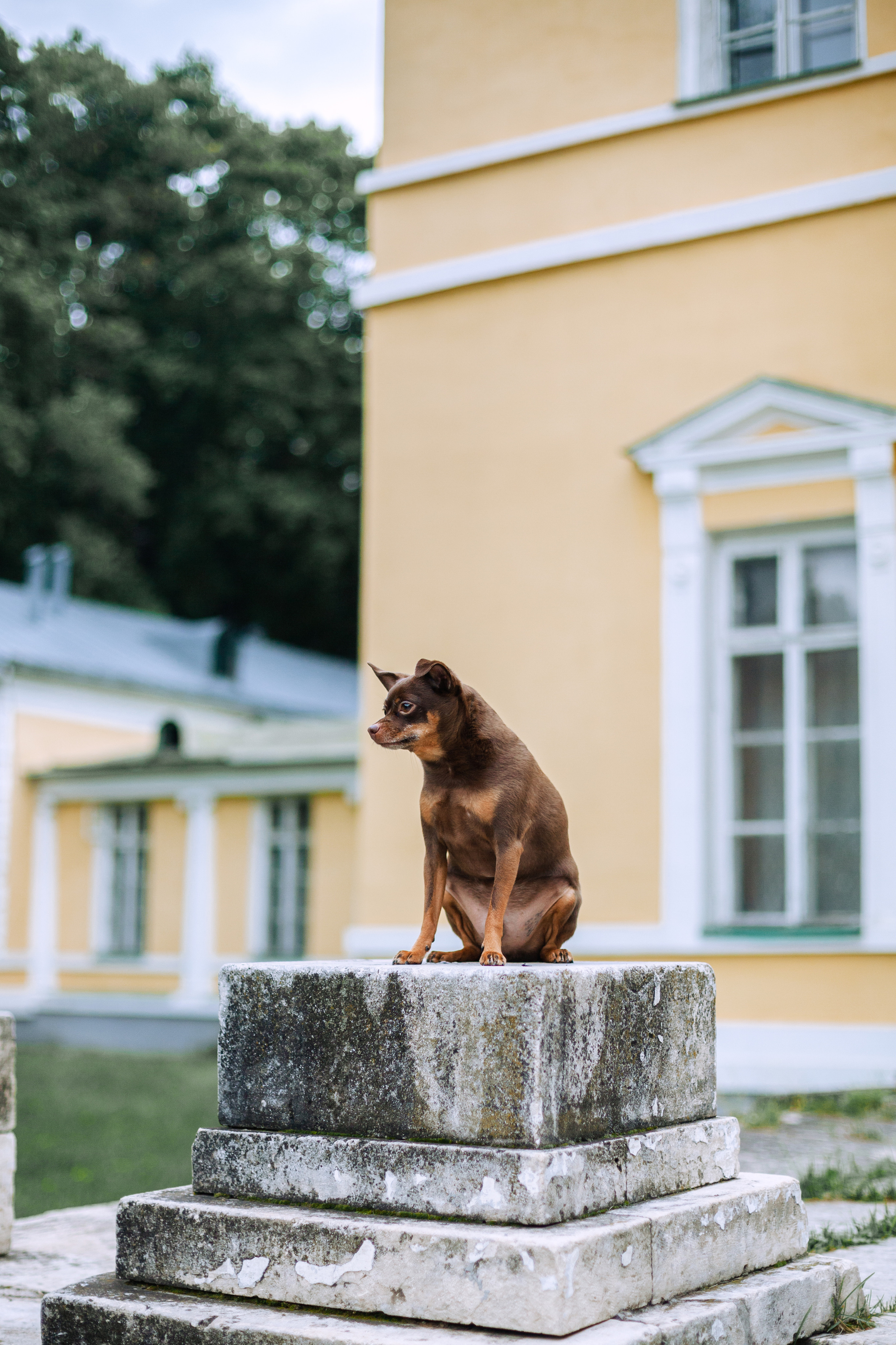Юля и Леонид. Фотограф-анималист Татьяна Степанова