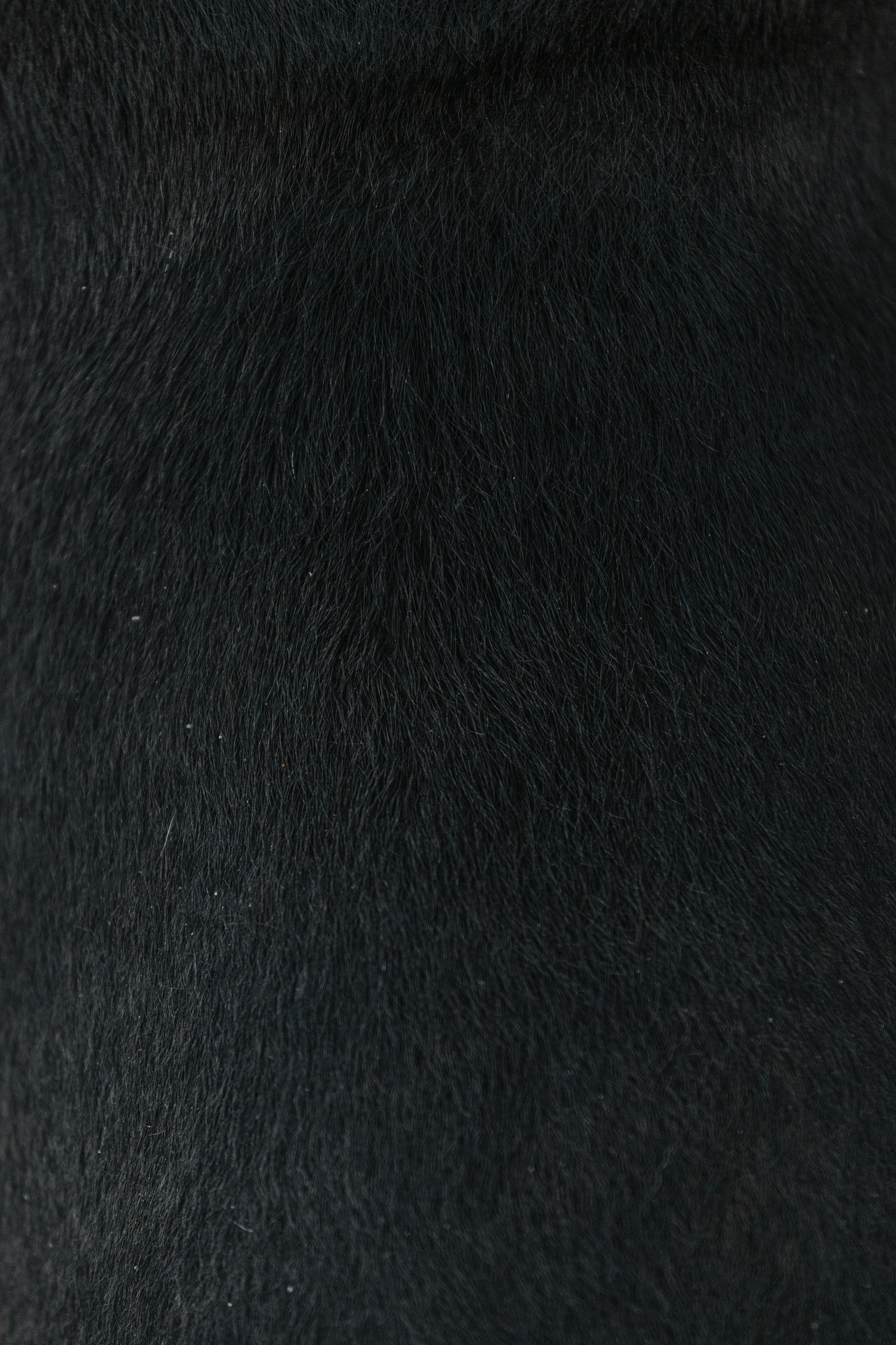 Фотопрогулка у МГУ. Фотограф-анималист Татьяна Степанова