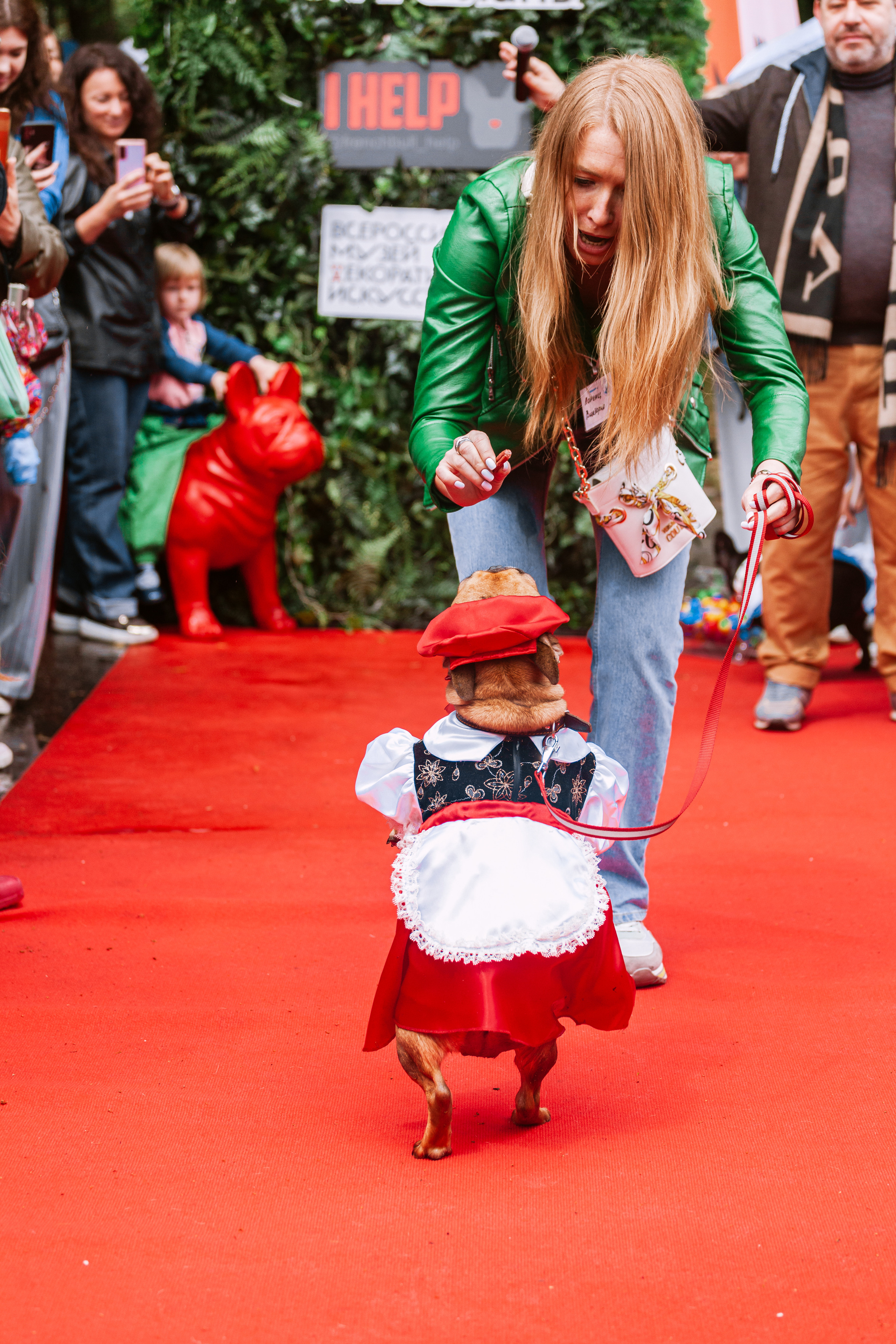 Парад французских бульдогов 15.07.2023. Фотограф-анималист Татьяна Степанова