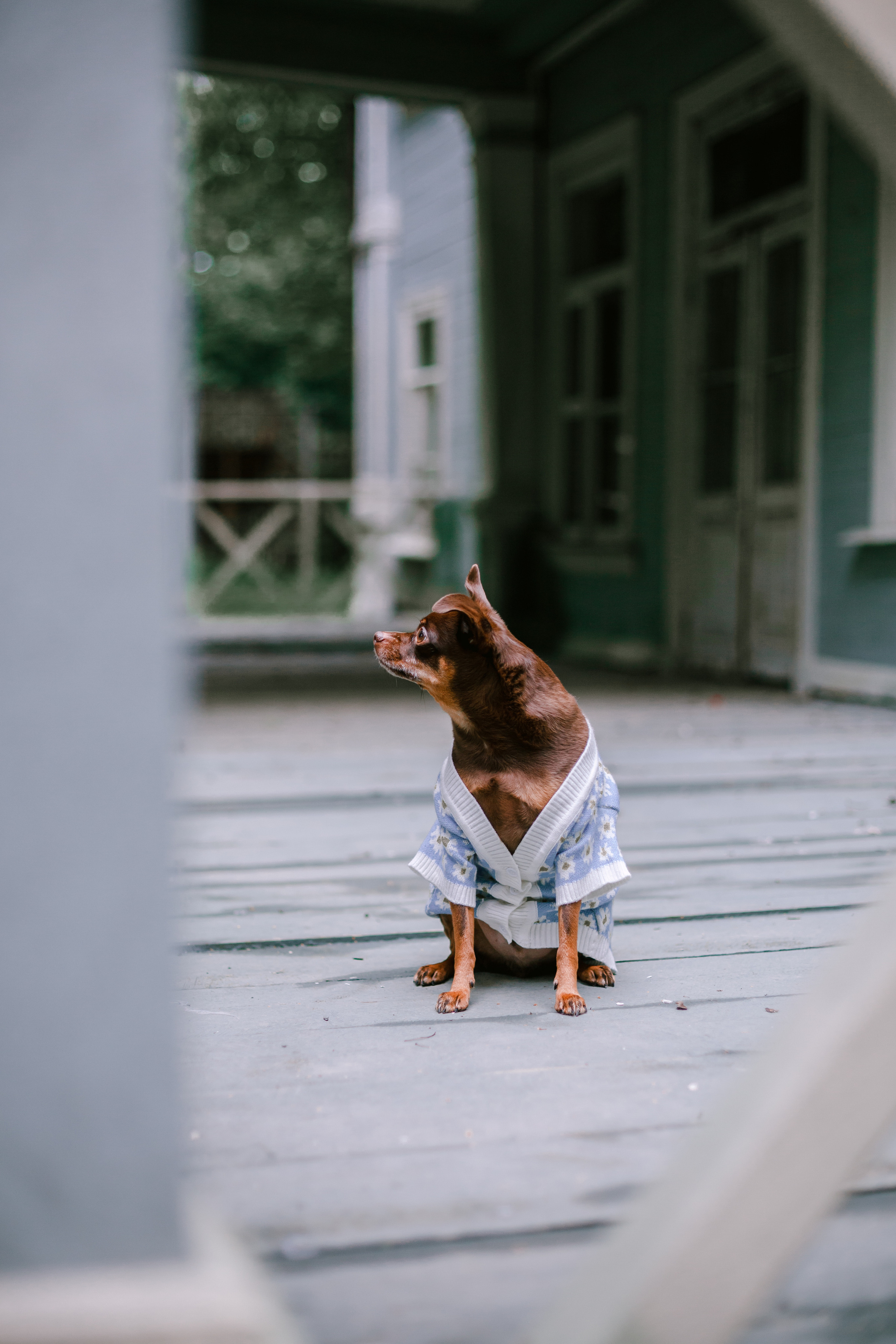 Юля и Леонид. Фотограф-анималист Татьяна Степанова