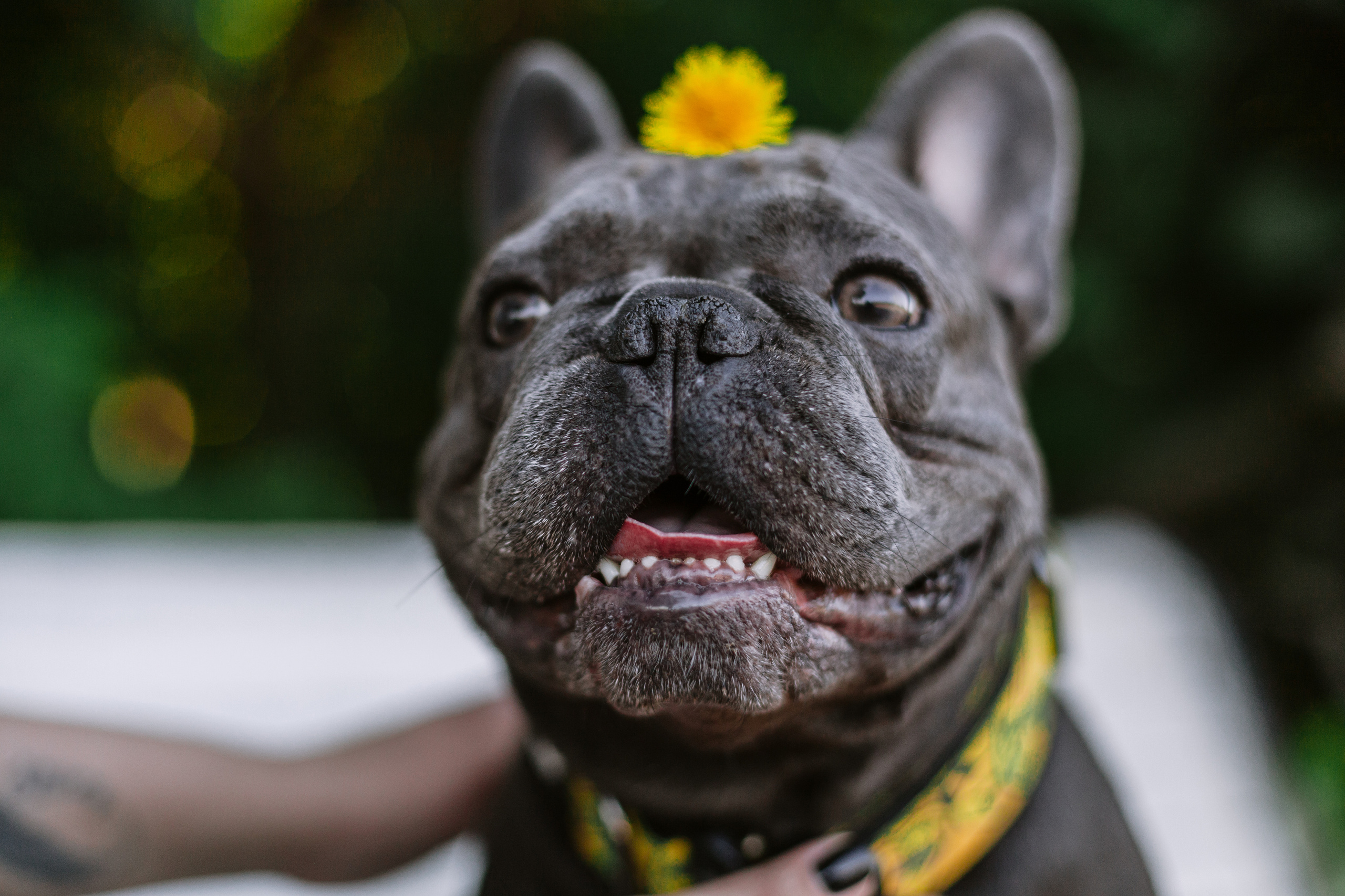 Фотопрогулка у МГУ. Фотограф-анималист Татьяна Степанова