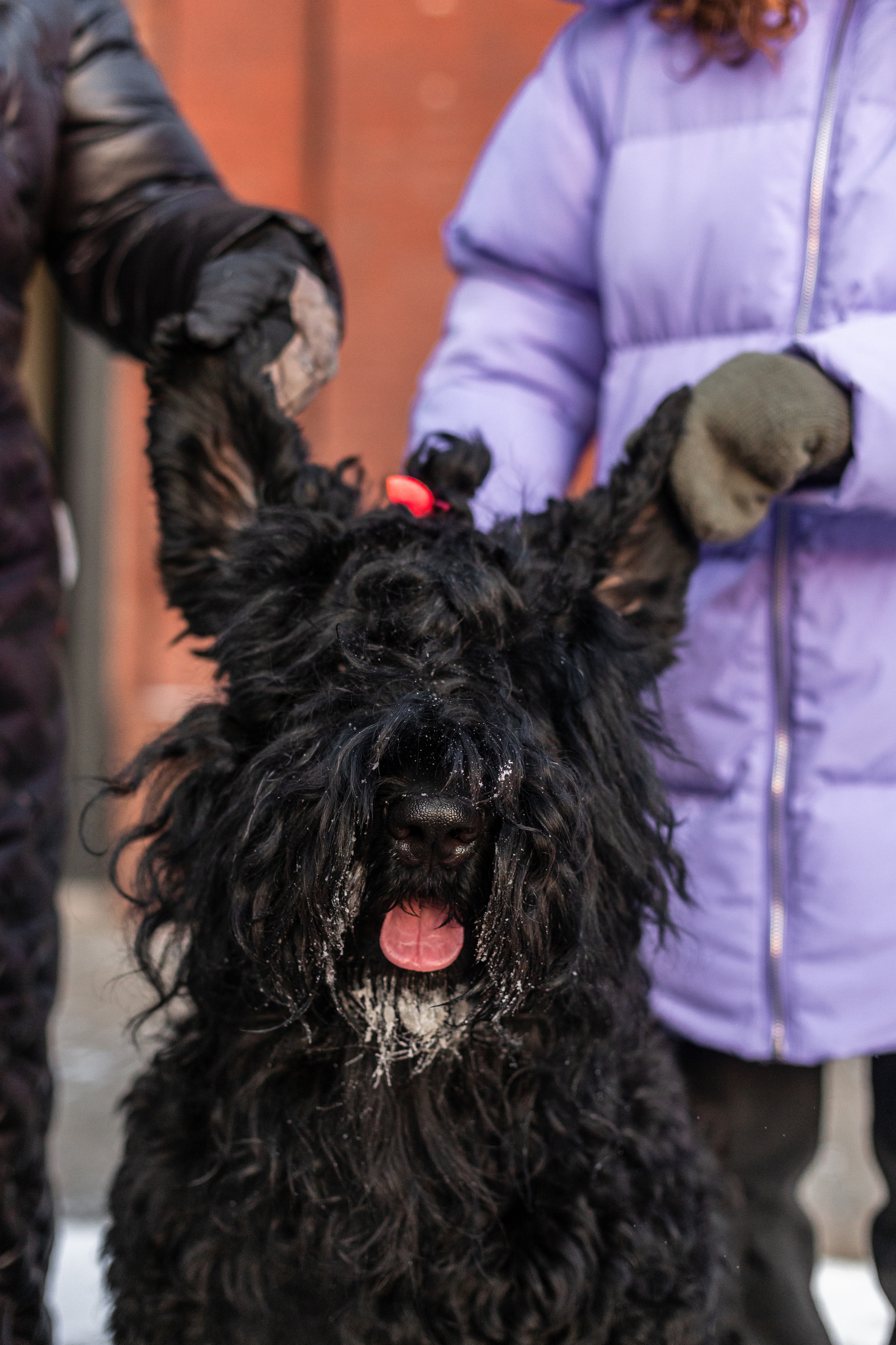Фотопрогулка завод Арма. Фотограф-анималист Татьяна Степанова