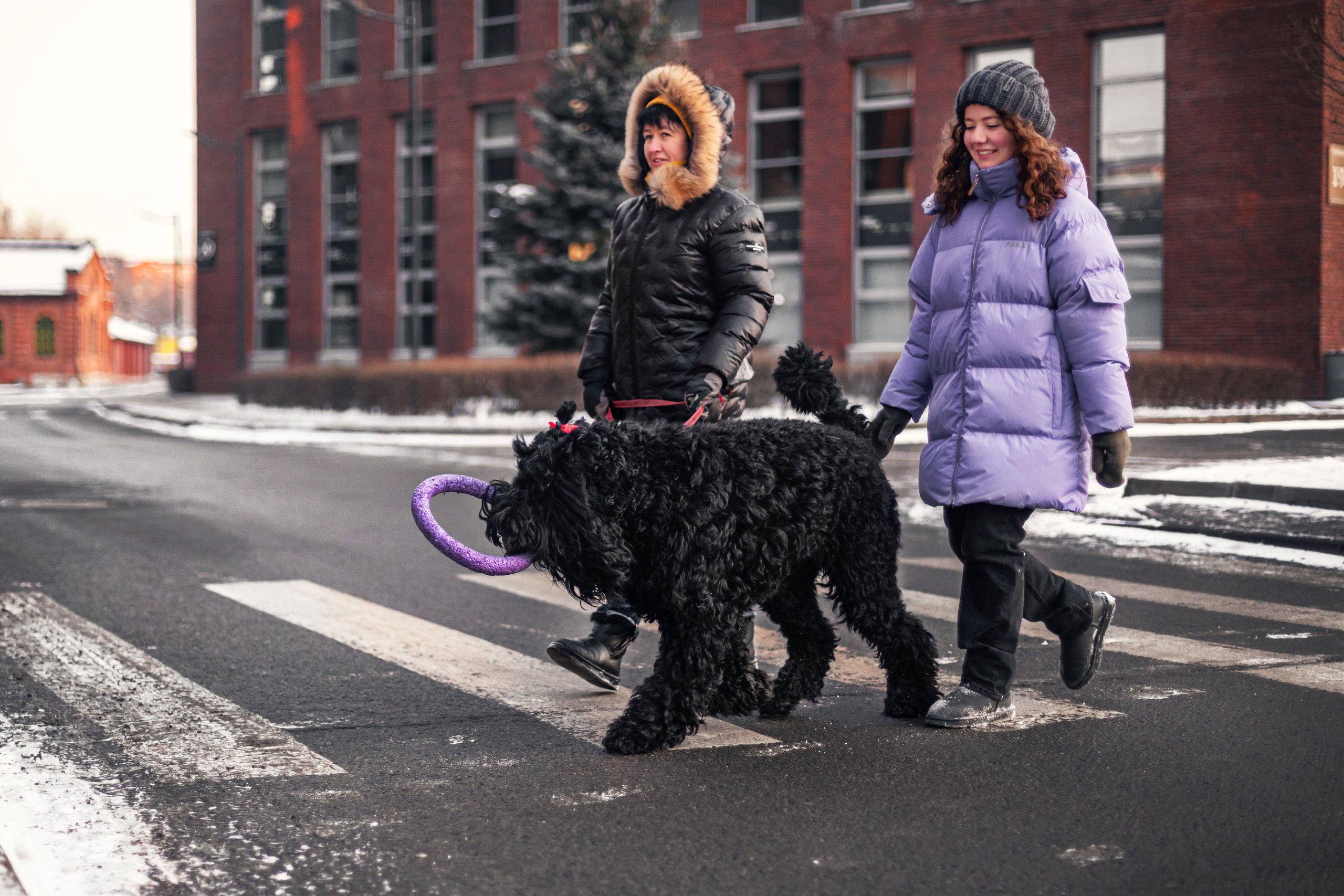Фотопрогулка завод Арма. Фотограф-анималист Татьяна Степанова