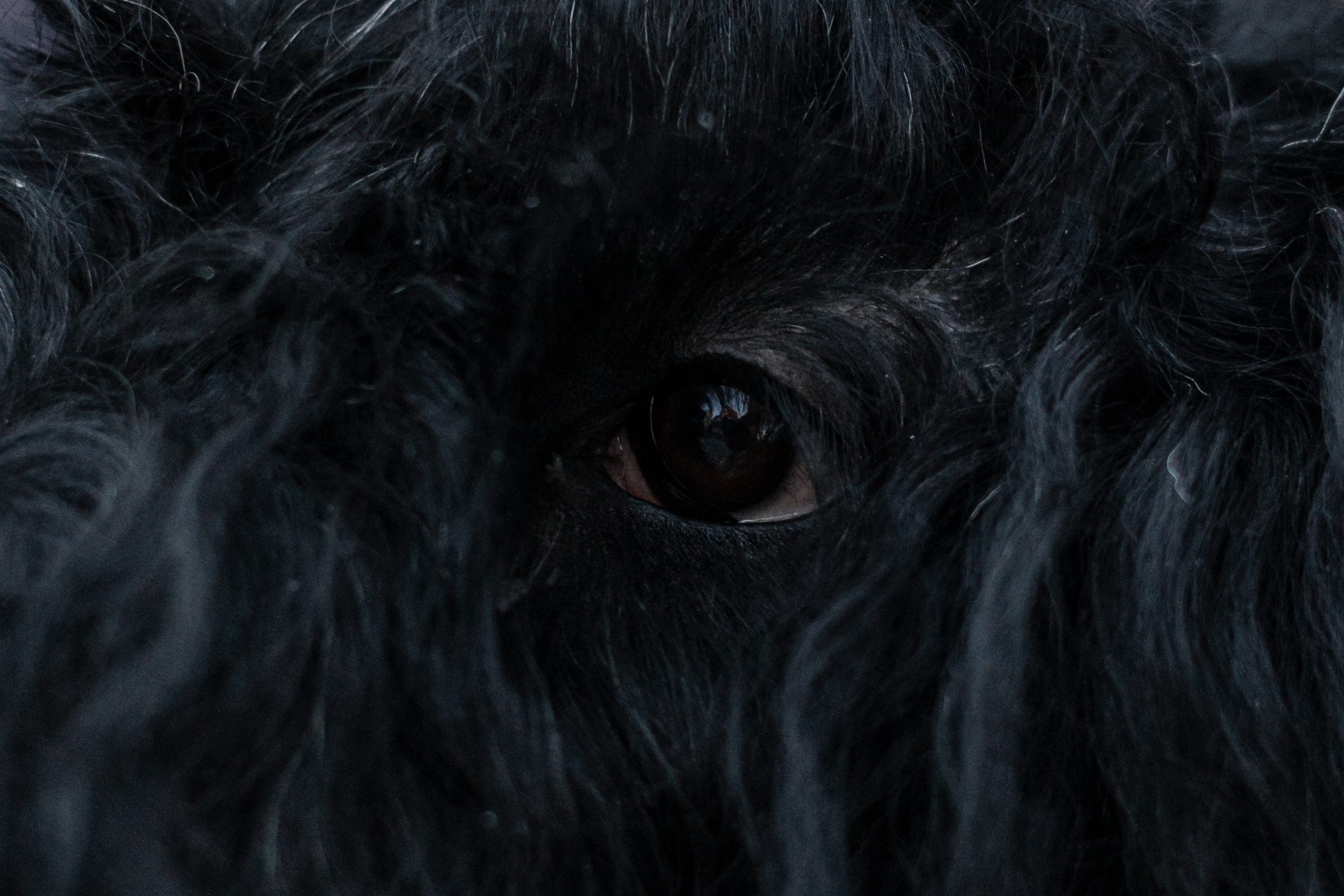 Фотопрогулка завод Арма. Фотограф-анималист Татьяна Степанова