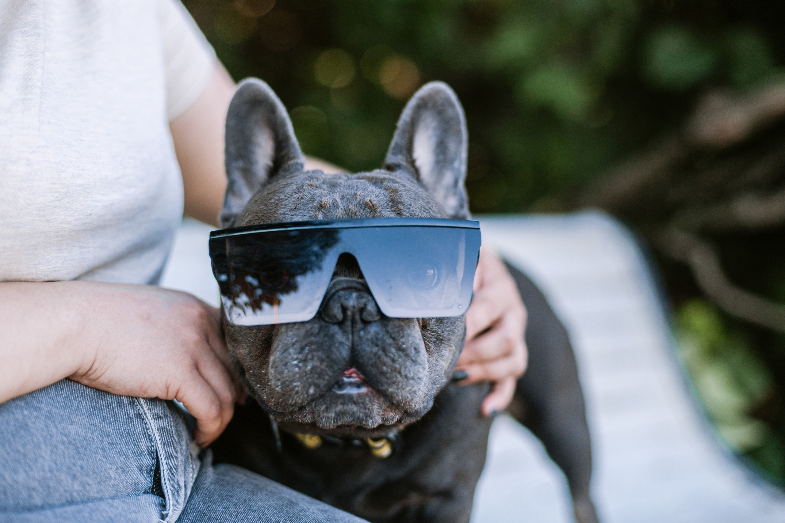 Фотопрогулка у МГУ. Фотограф-анималист Татьяна Степанова