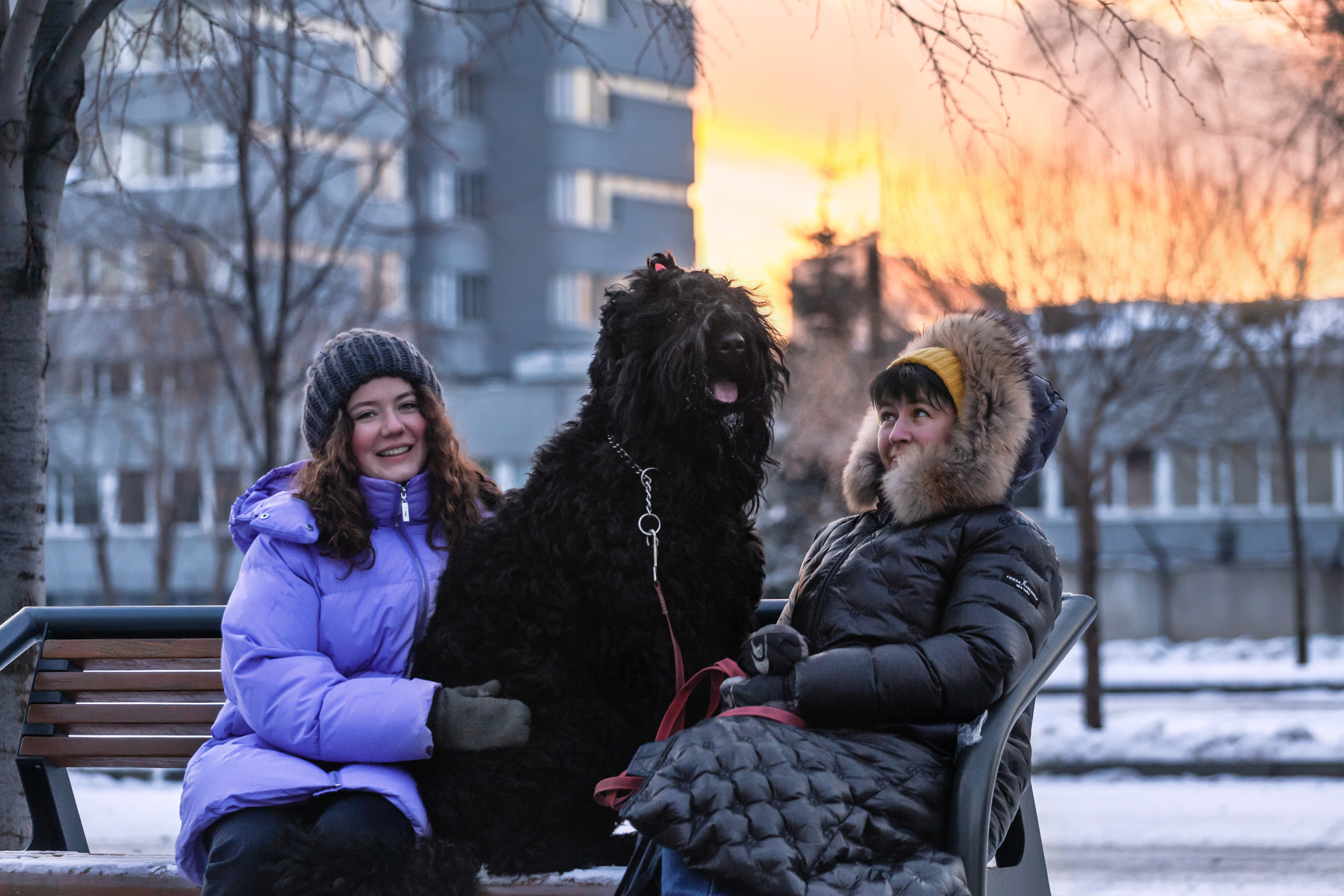 Фотопрогулка завод Арма. Фотограф-анималист Татьяна Степанова
