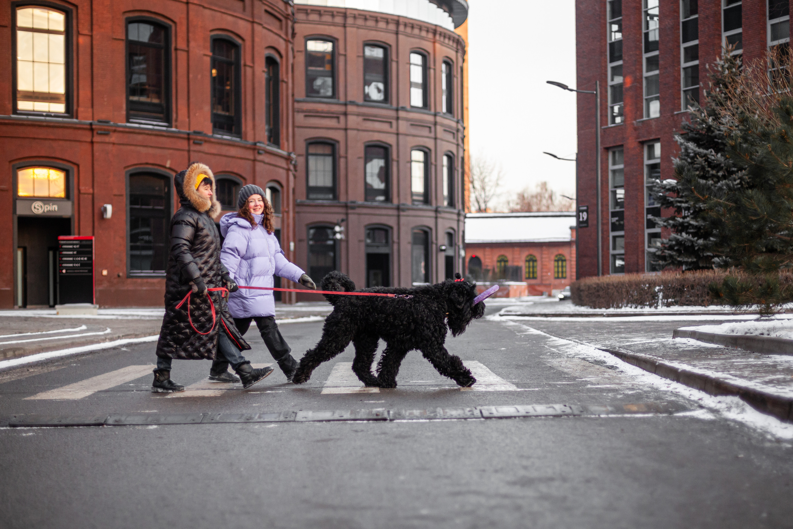 Фотопрогулка завод Арма. Фотограф-анималист Татьяна Степанова