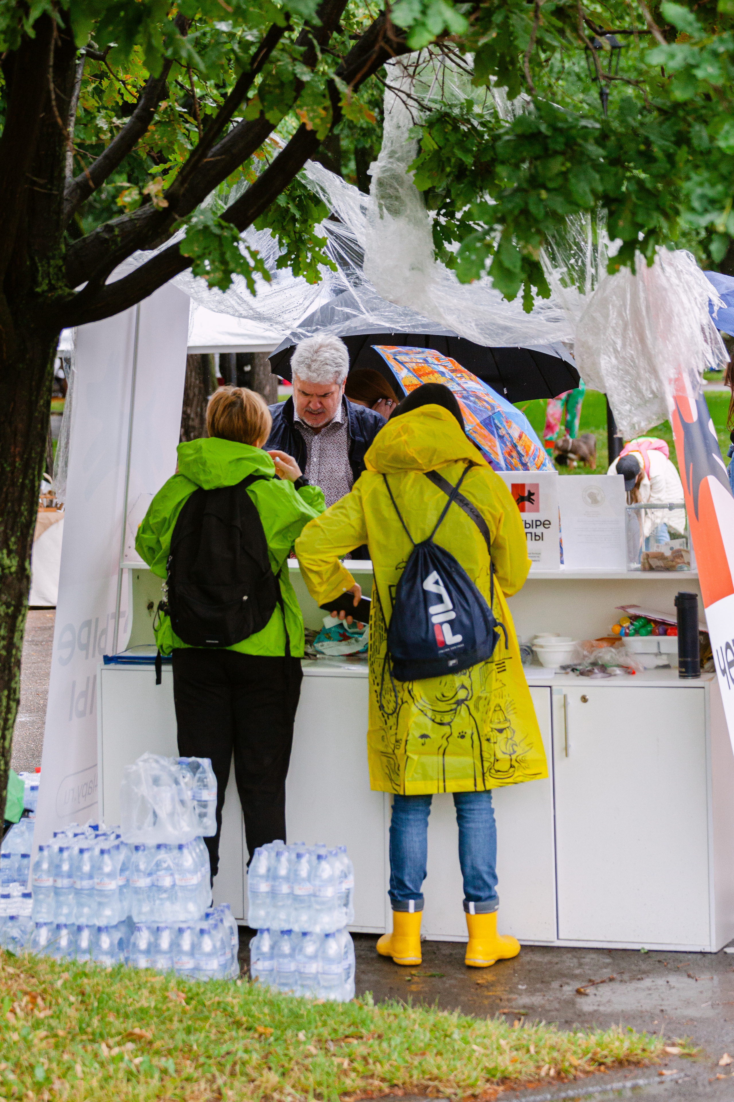 Парад французских бульдогов 15.07.2023. Фотограф-анималист Татьяна Степанова