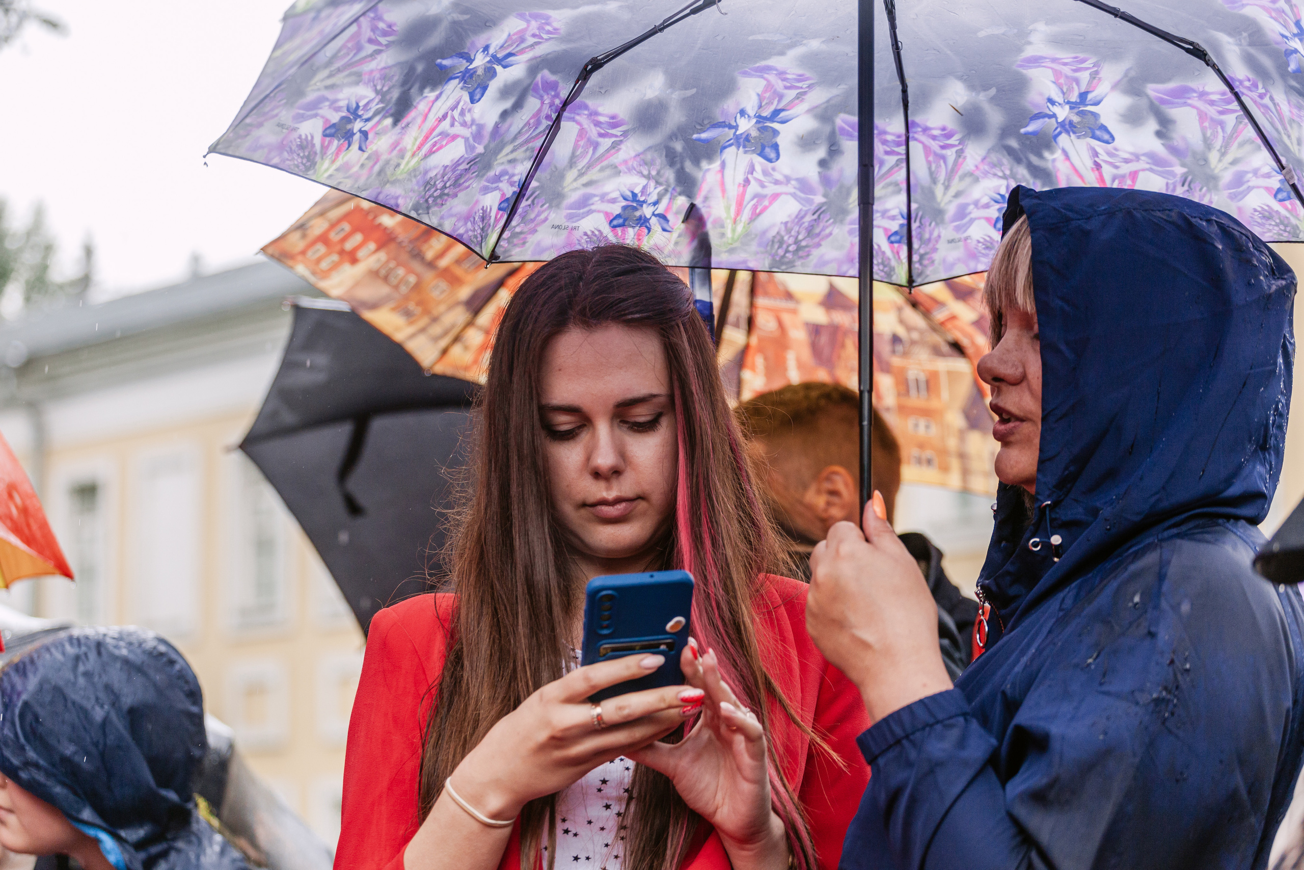 Парад французских бульдогов 15.07.2023. Фотограф-анималист Татьяна Степанова
