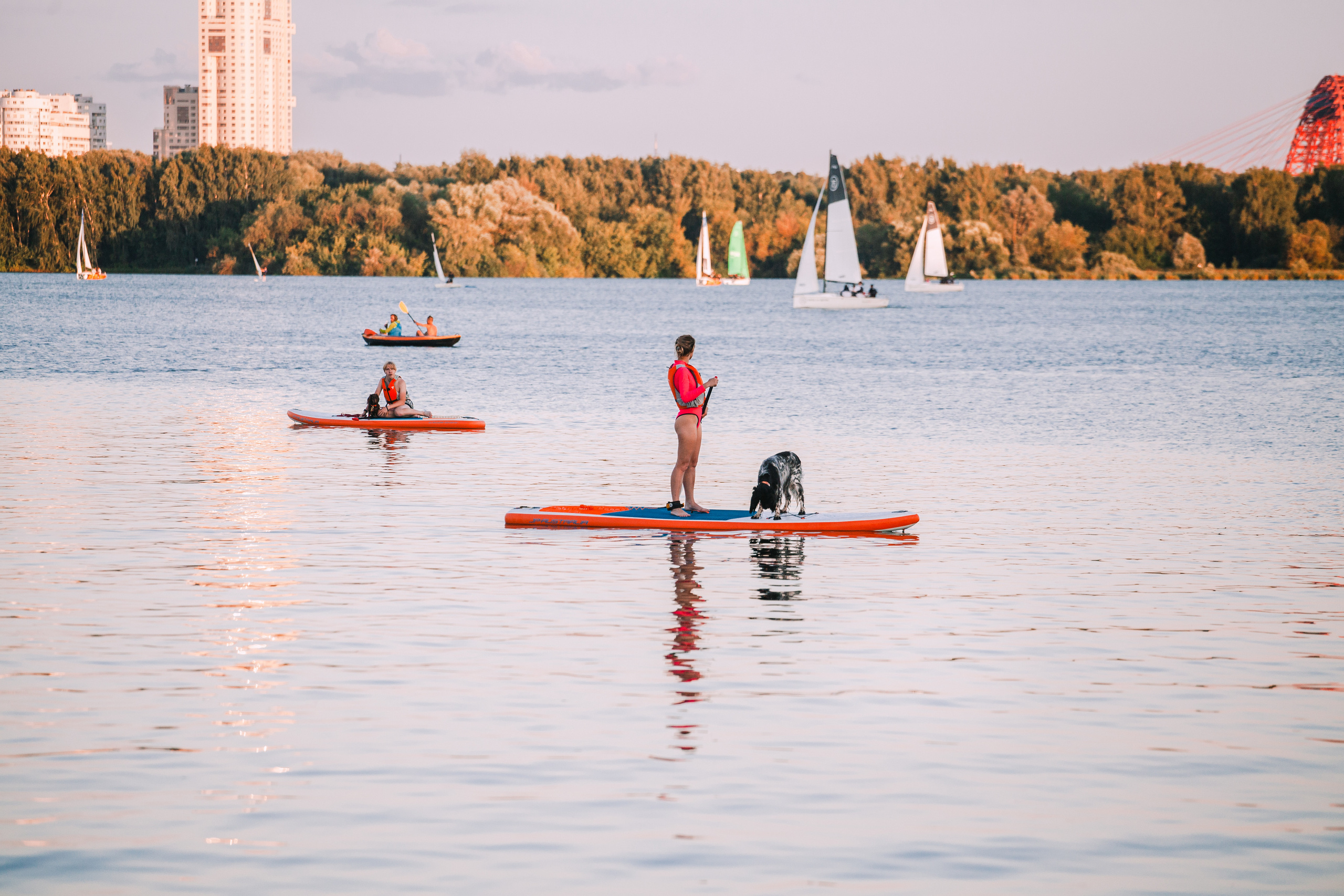 Света и Егор на сапах. Фотограф-анималист Татьяна Степанова