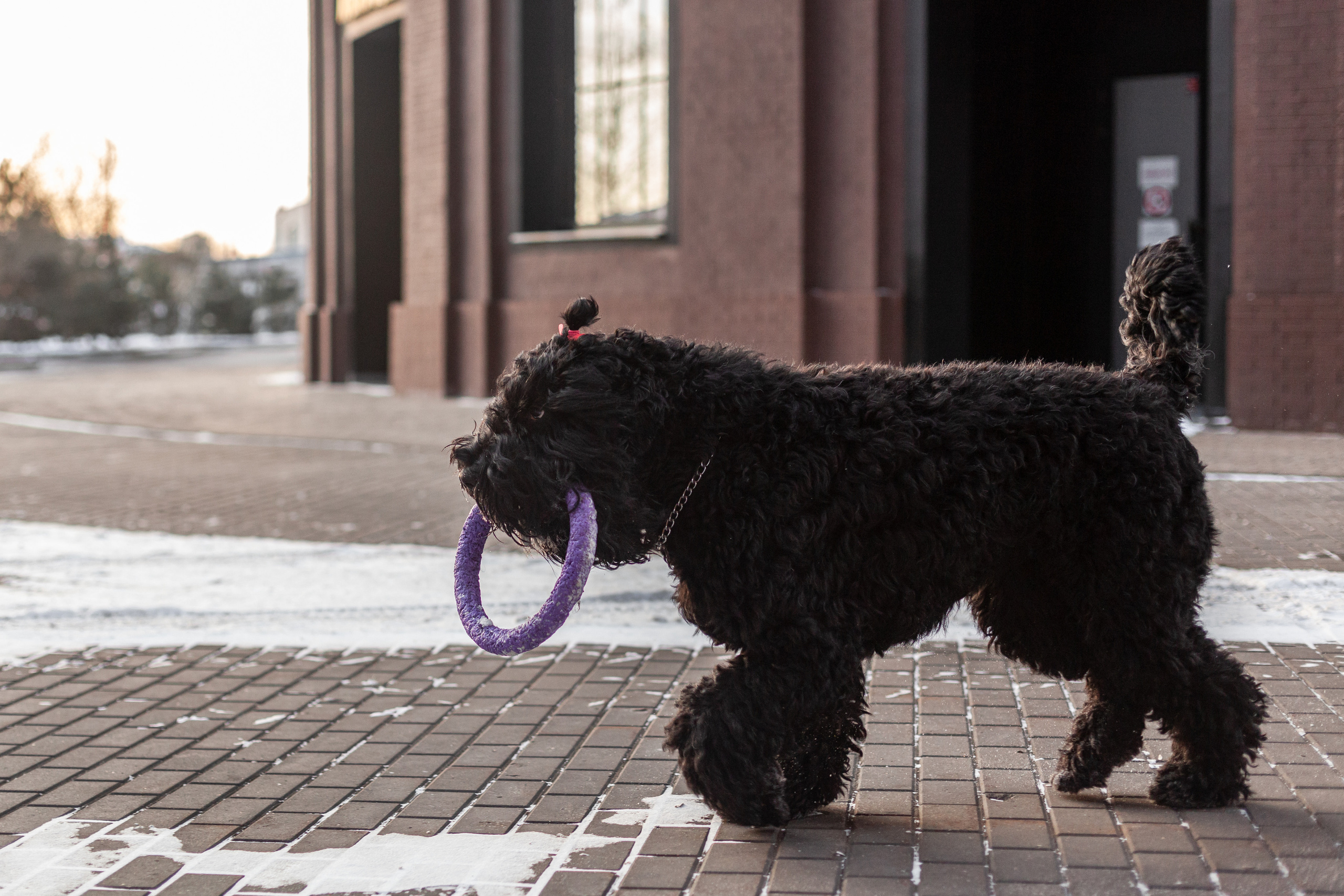 Фотопрогулка завод Арма. Фотограф-анималист Татьяна Степанова