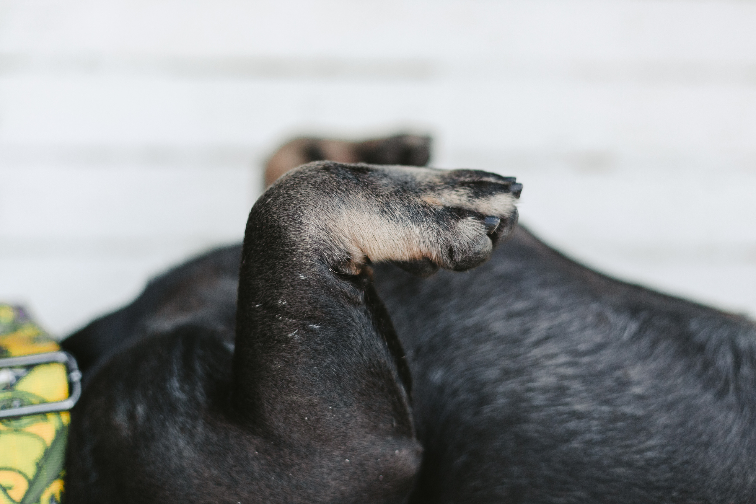 Фотопрогулка у МГУ. Фотограф-анималист Татьяна Степанова