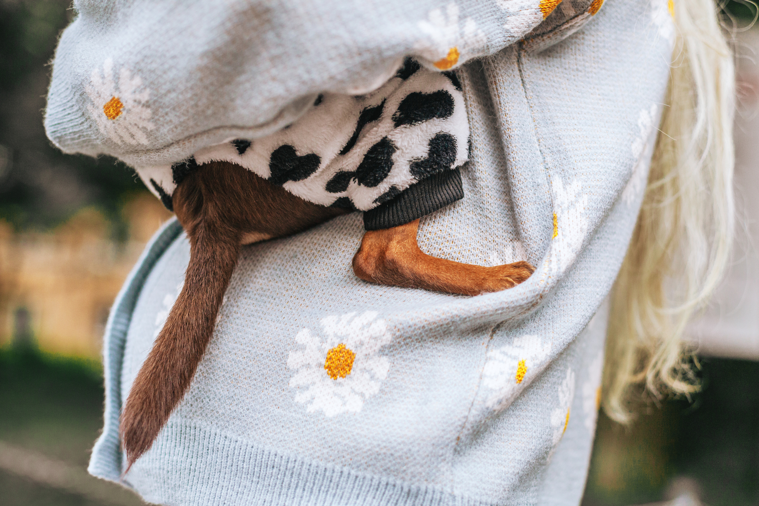 Юля и Леонид. Фотограф-анималист Татьяна Степанова