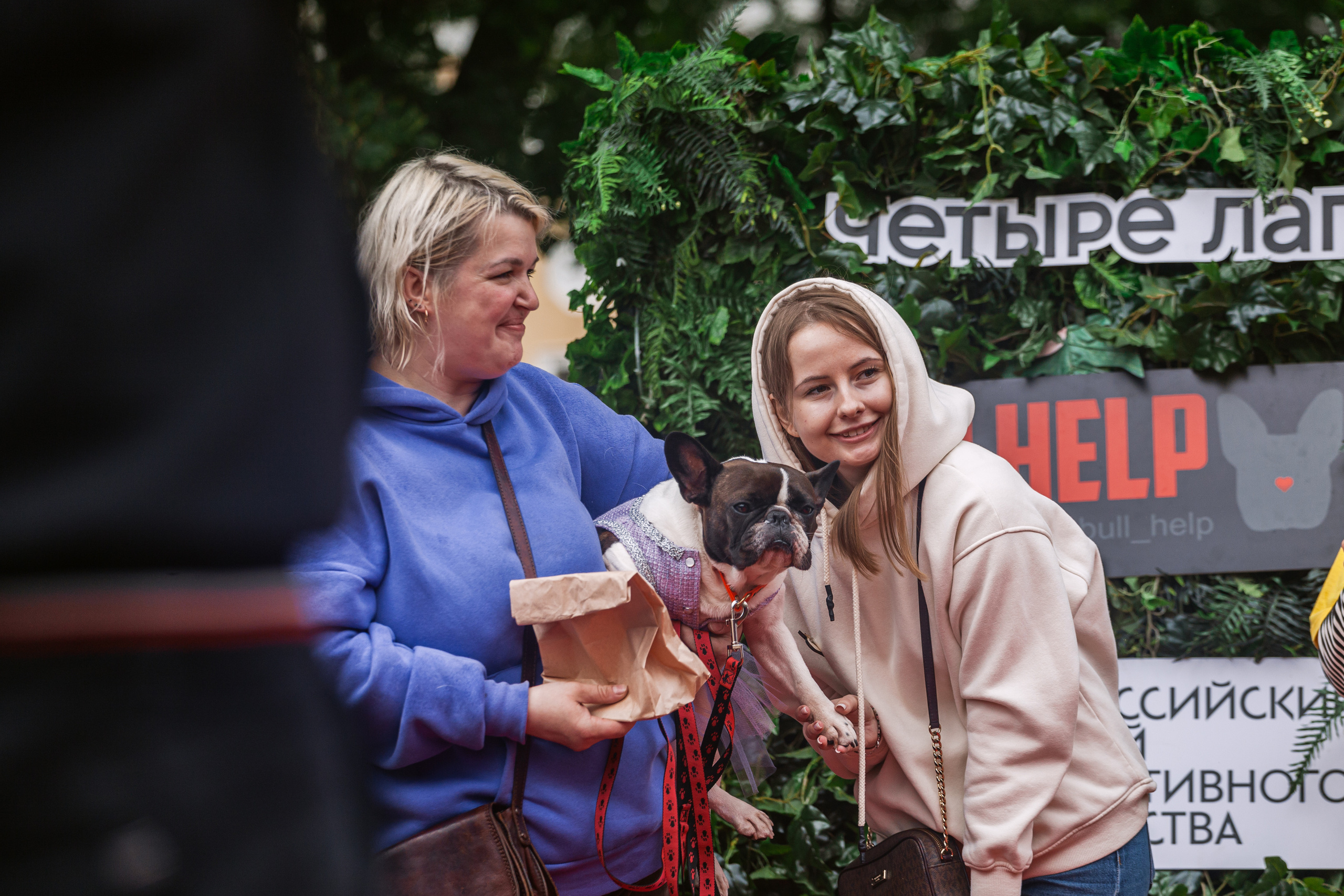 Парад французских бульдогов 15.07.2023. Фотограф-анималист Татьяна Степанова