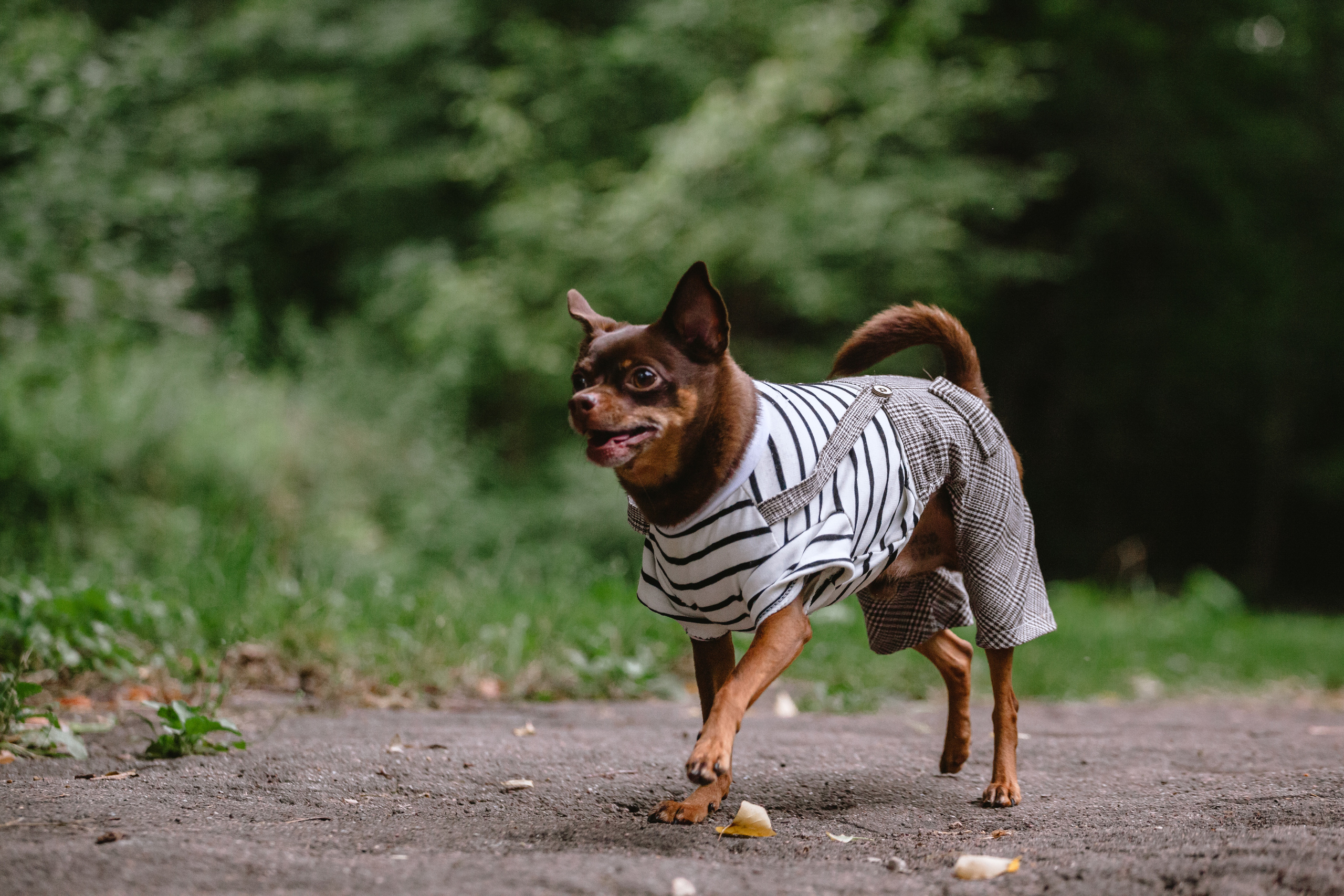 Юля и Леонид. Фотограф-анималист Татьяна Степанова