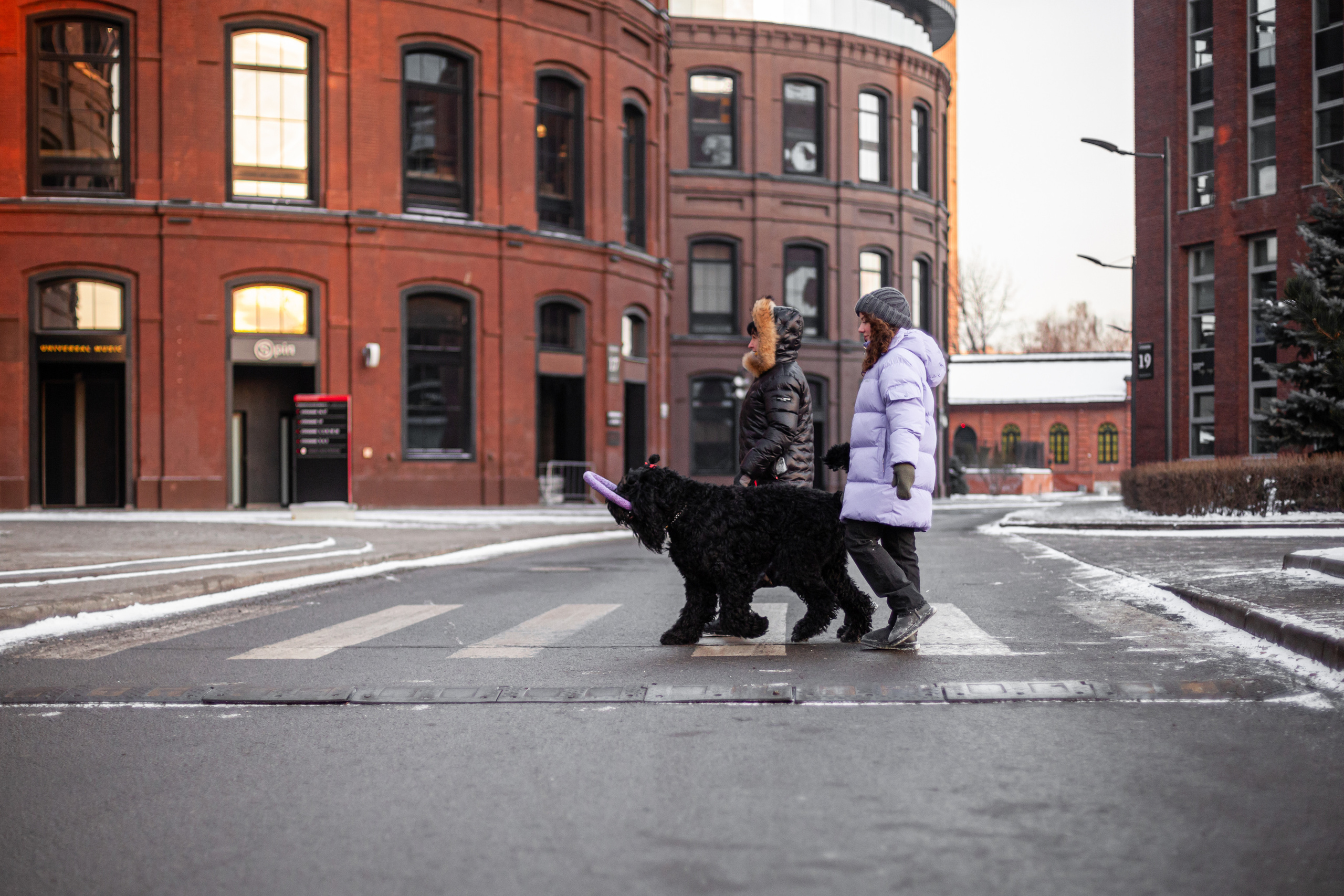 Фотопрогулка завод Арма. Фотограф-анималист Татьяна Степанова