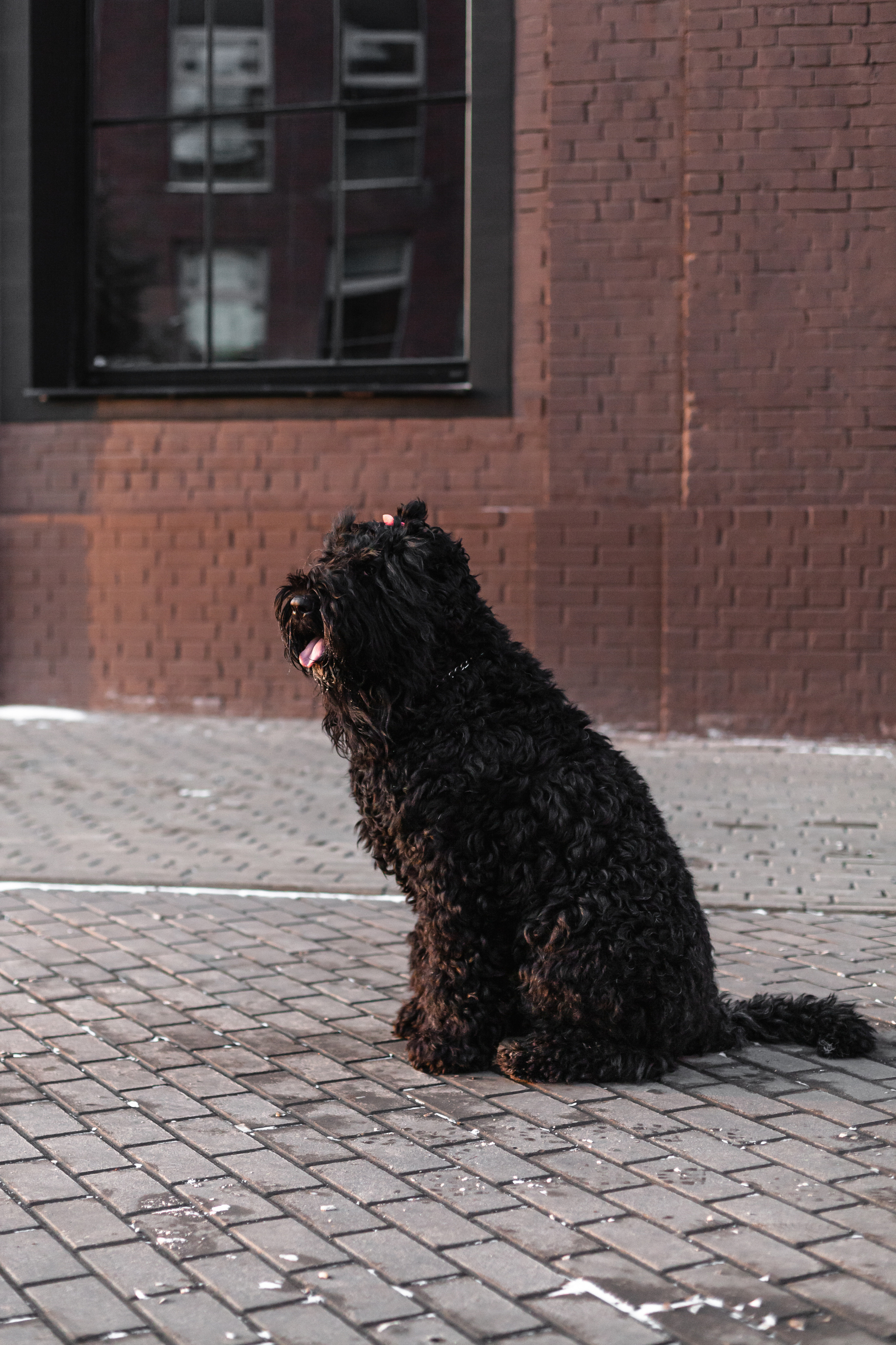 Фотопрогулка завод Арма. Фотограф-анималист Татьяна Степанова