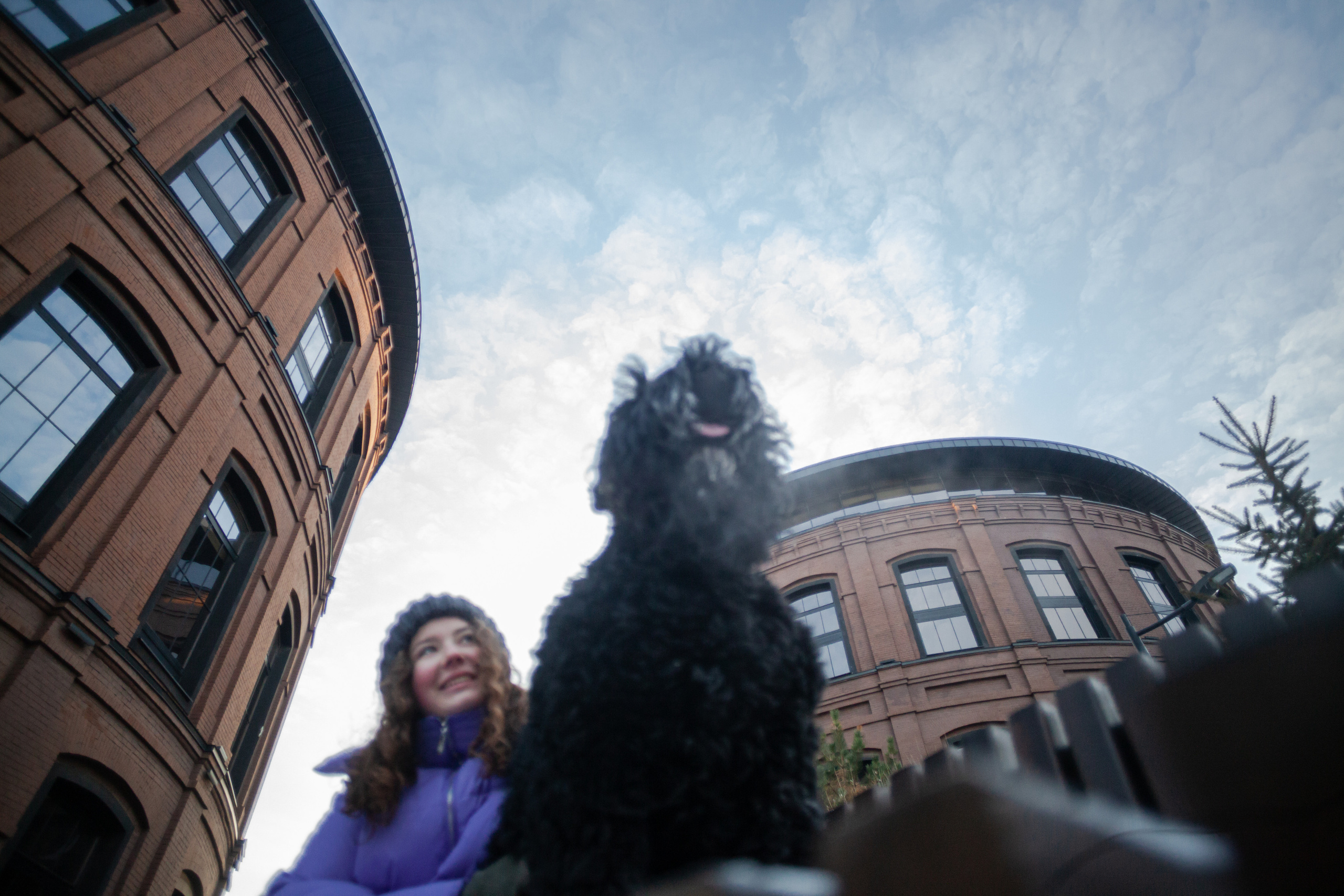 Фотопрогулка завод Арма. Фотограф-анималист Татьяна Степанова