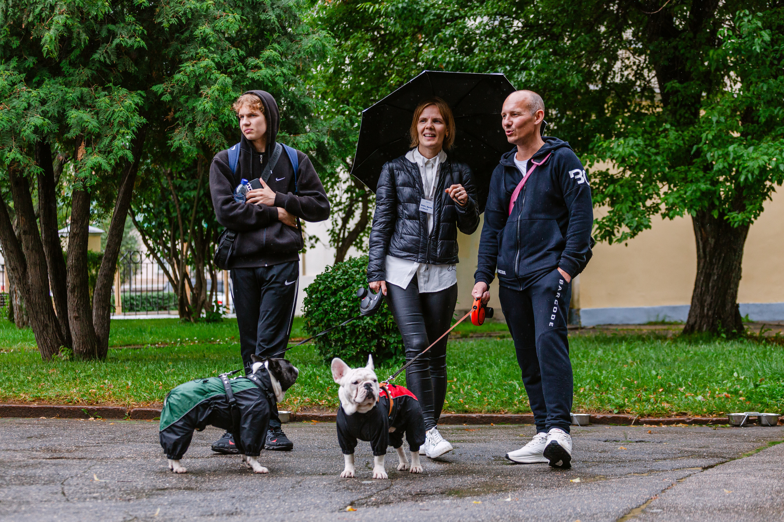 Парад французских бульдогов 15.07.2023. Фотограф-анималист Татьяна Степанова