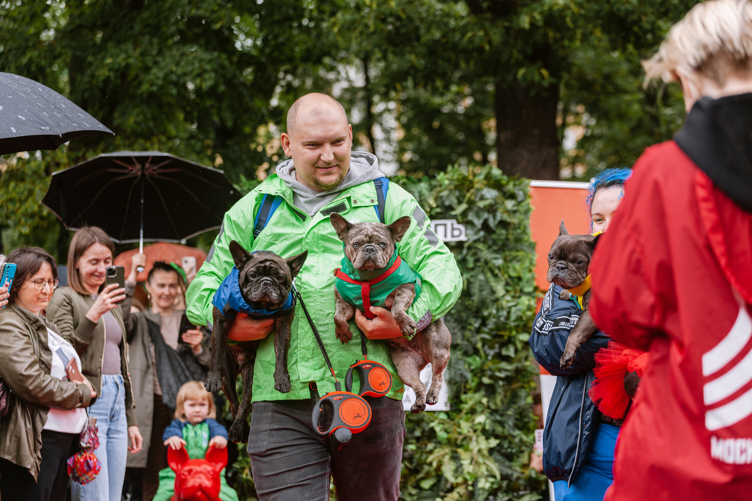 Парад французских бульдогов 15.07.2023. Фотограф-анималист Татьяна Степанова