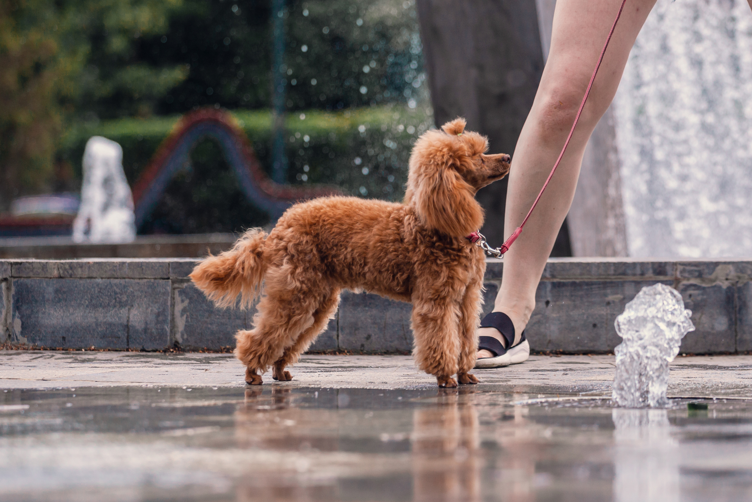 Оля и Ася. Фотограф-анималист Татьяна Степанова