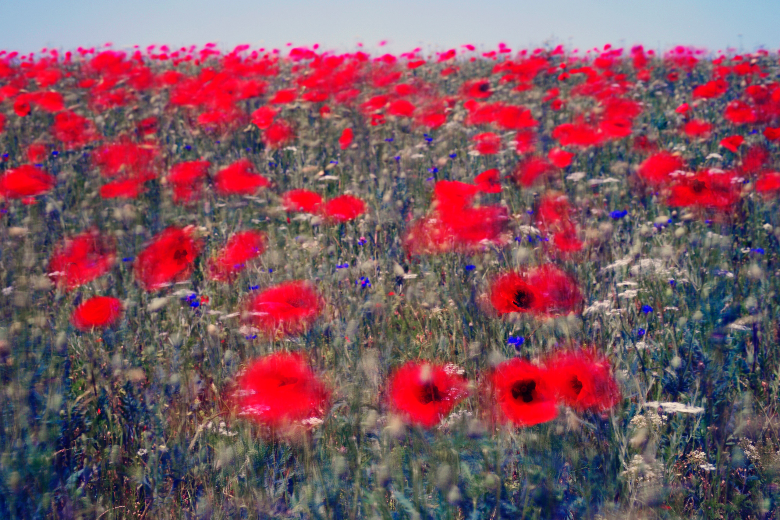 Landscape. Vasiliy Riabovol – Fine Art Photography | Zeit, Raum und Stille