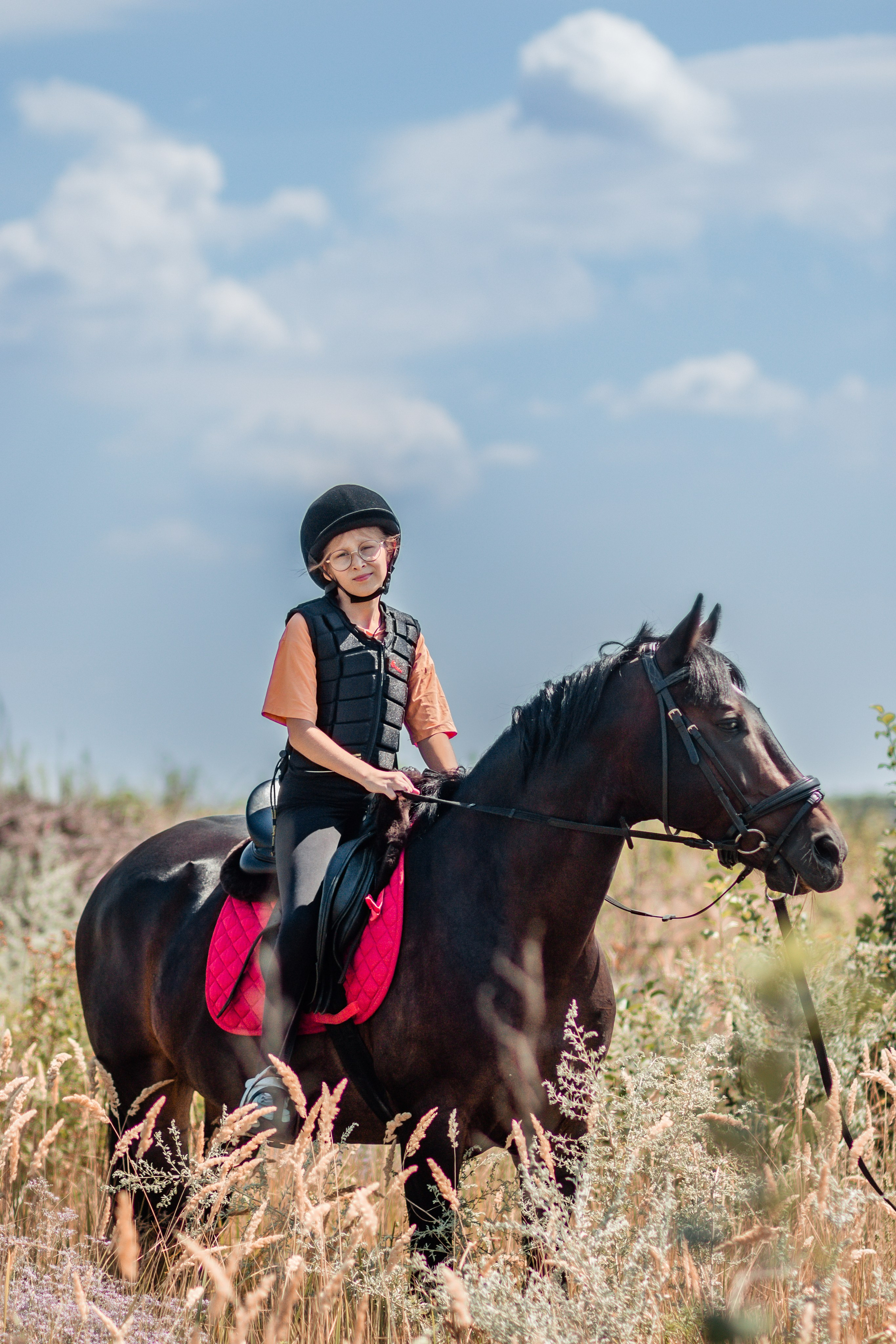 Выезды в поля на лошади