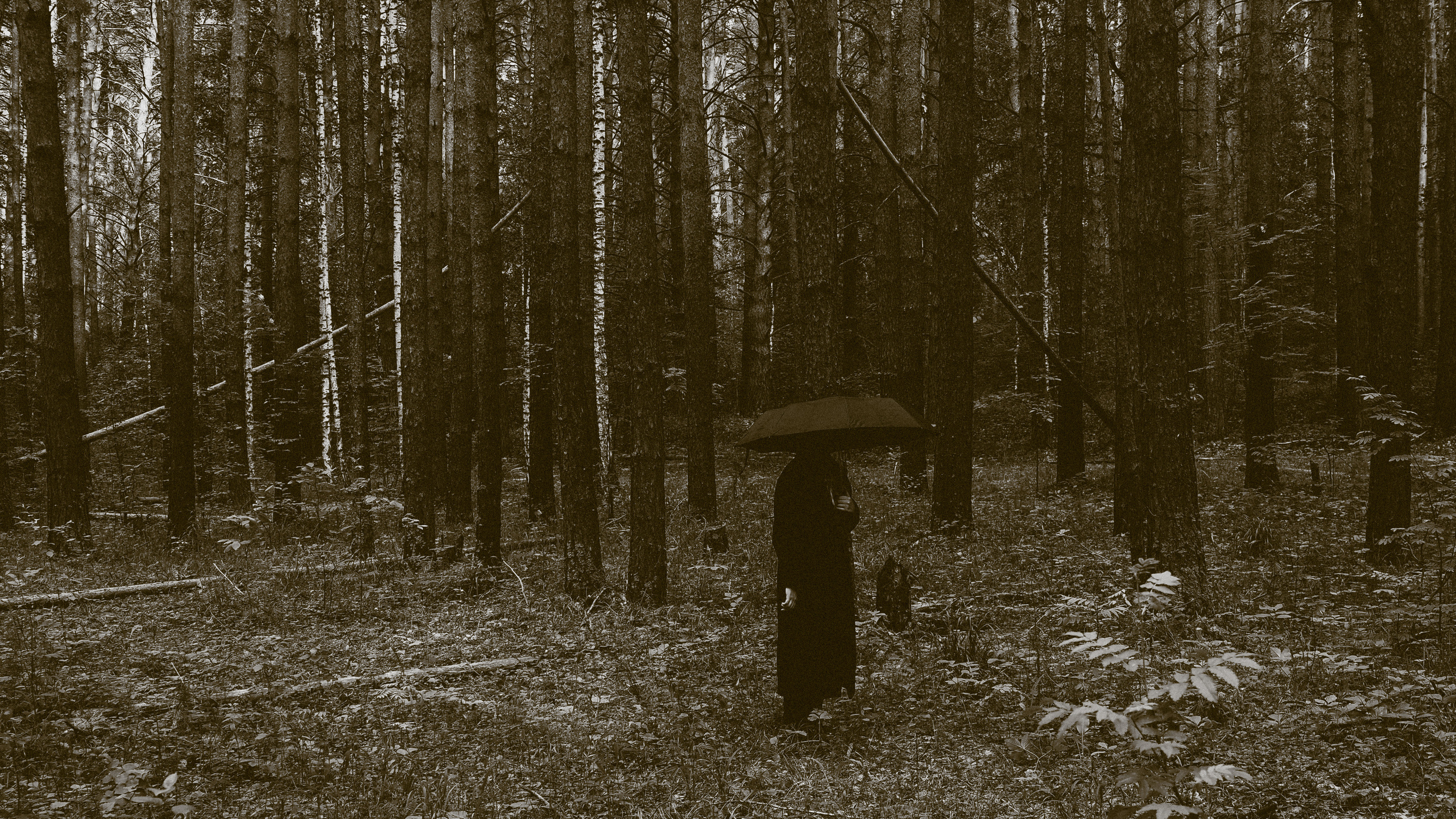 Фотограф урал