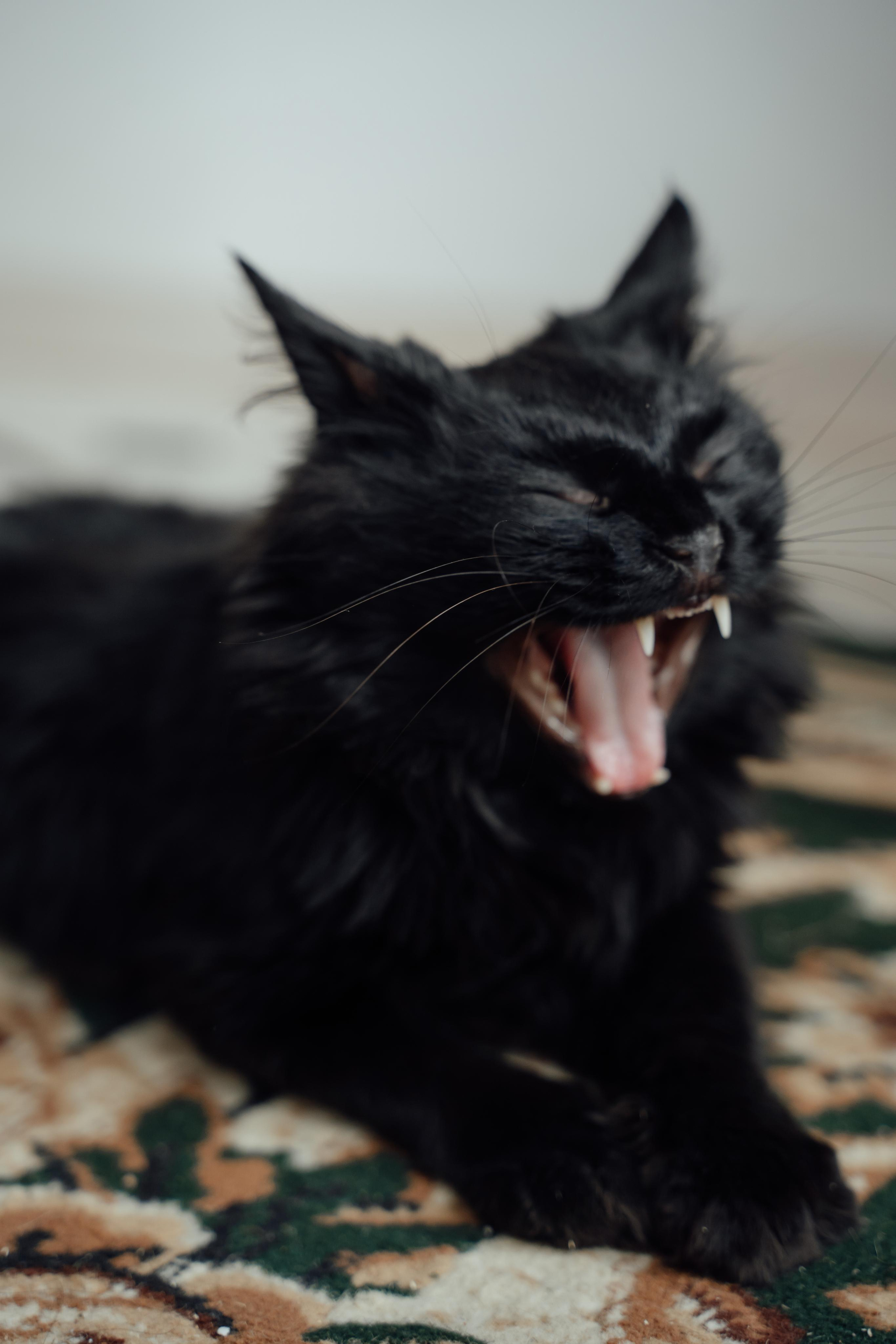 Магия дома. Портретный фотограф в Москве