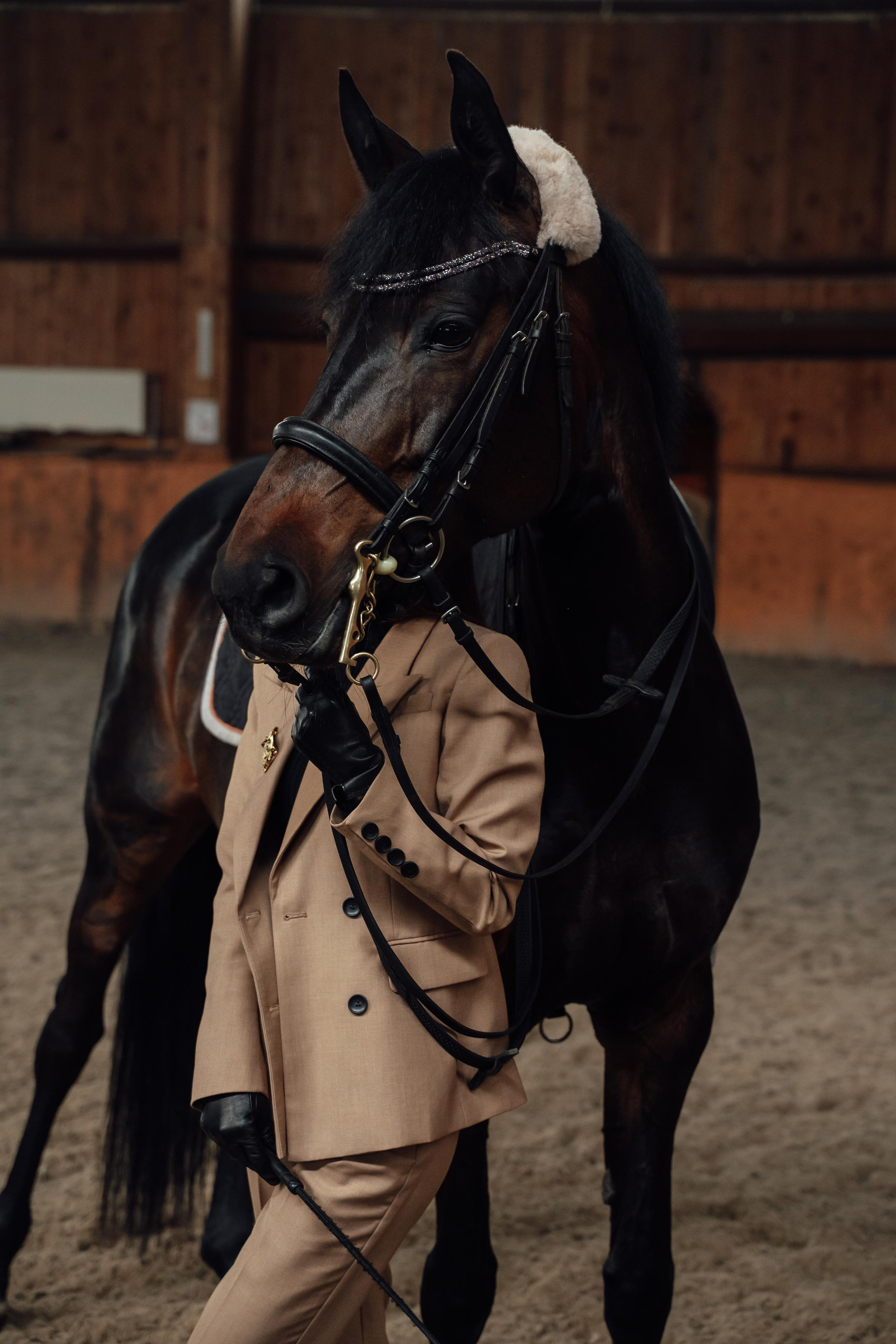 Укрощение Грея. Портретный фотограф в Москве