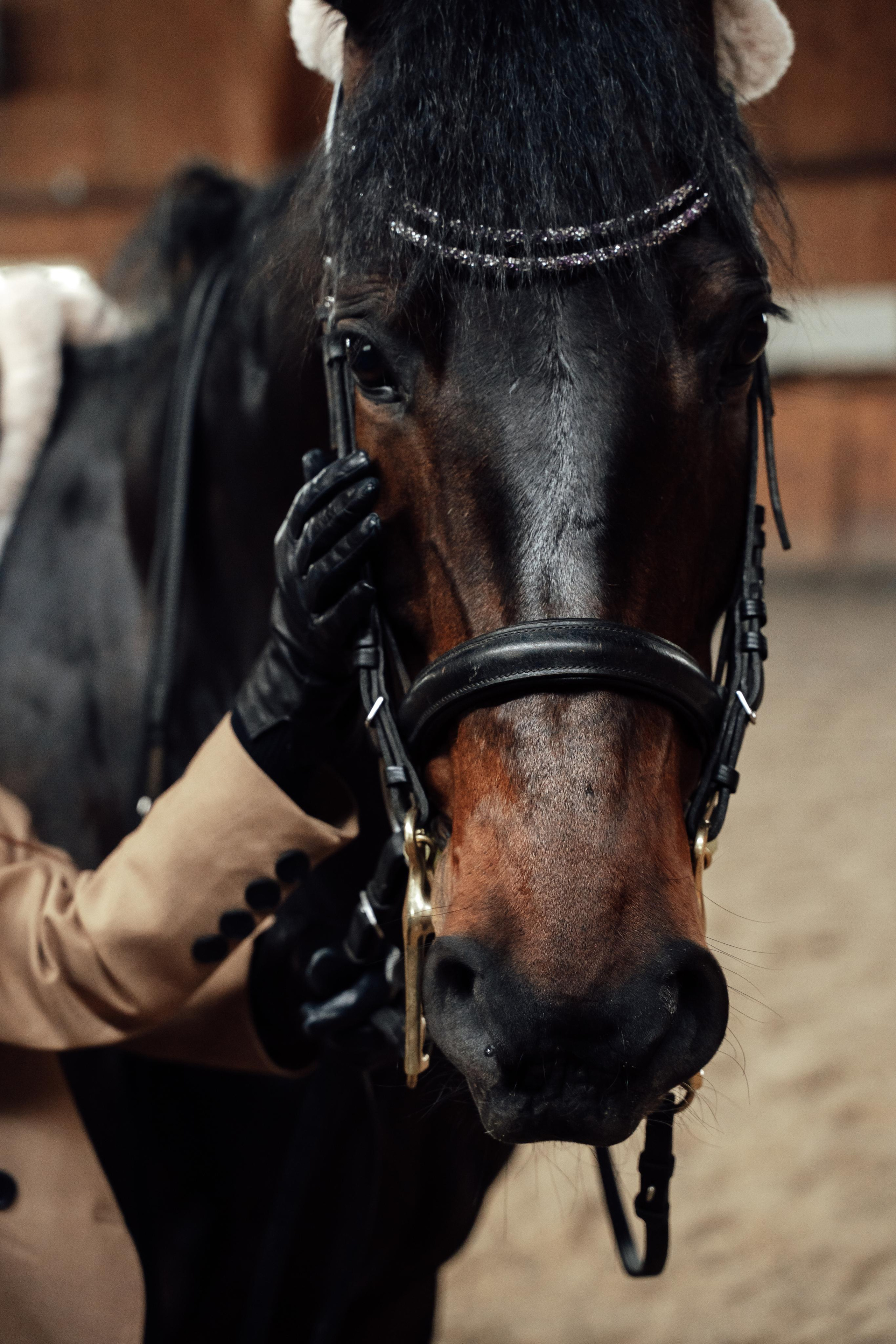 Укрощение Грея. Портретный фотограф в Москве