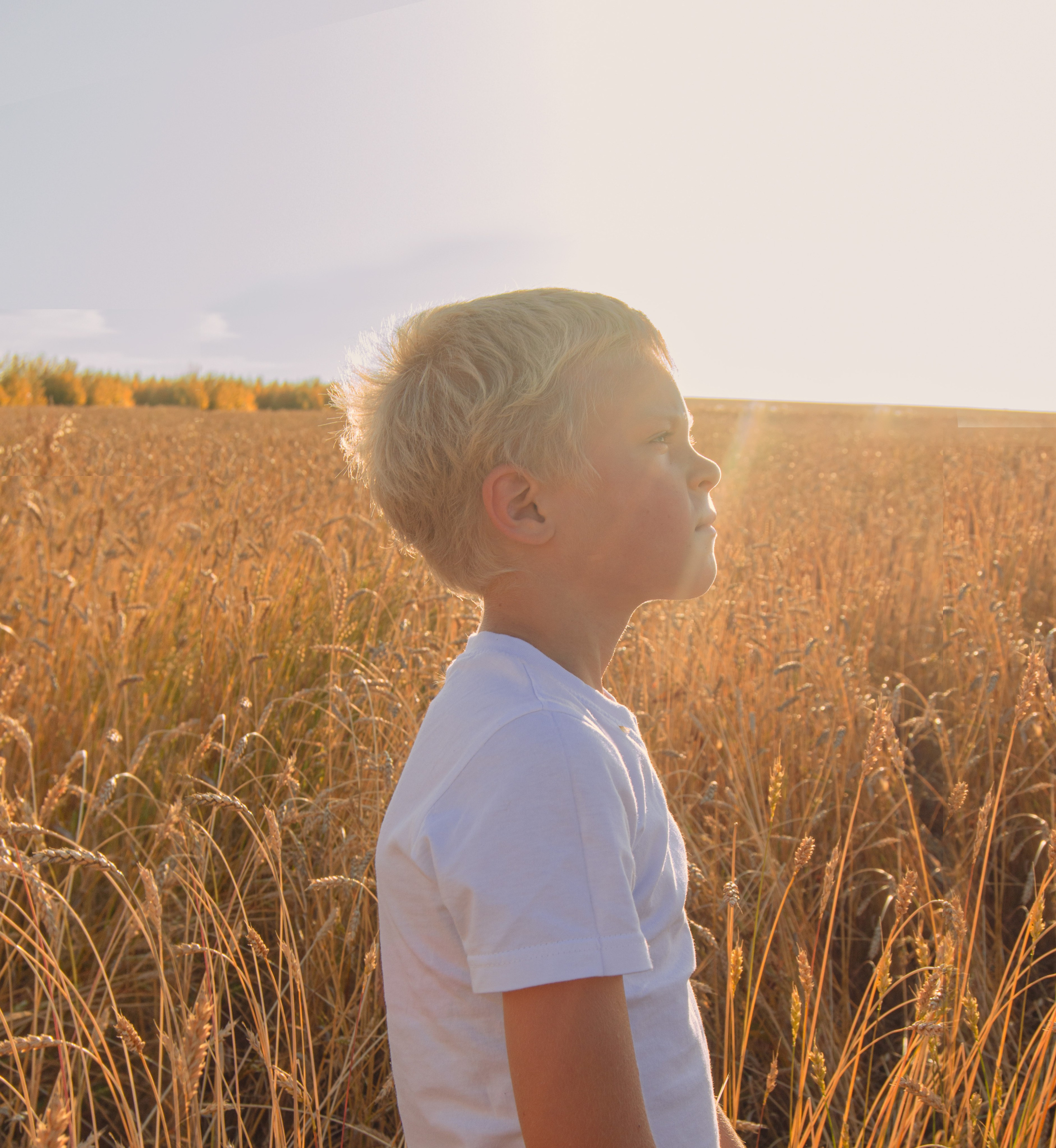 Пшеничное поле — Анастасия. Фотограф Юлия Левандовская, п.Ясногорск