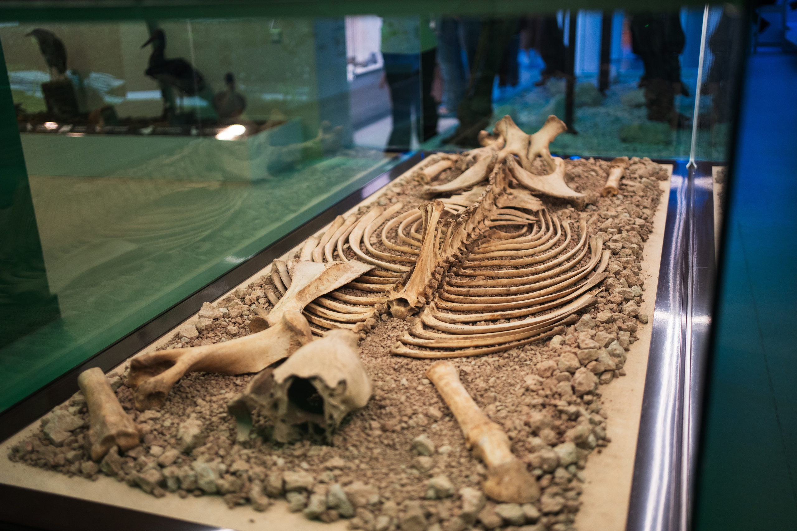 Ночь музеев 2024. Фотограф на любое событие в Кемерово