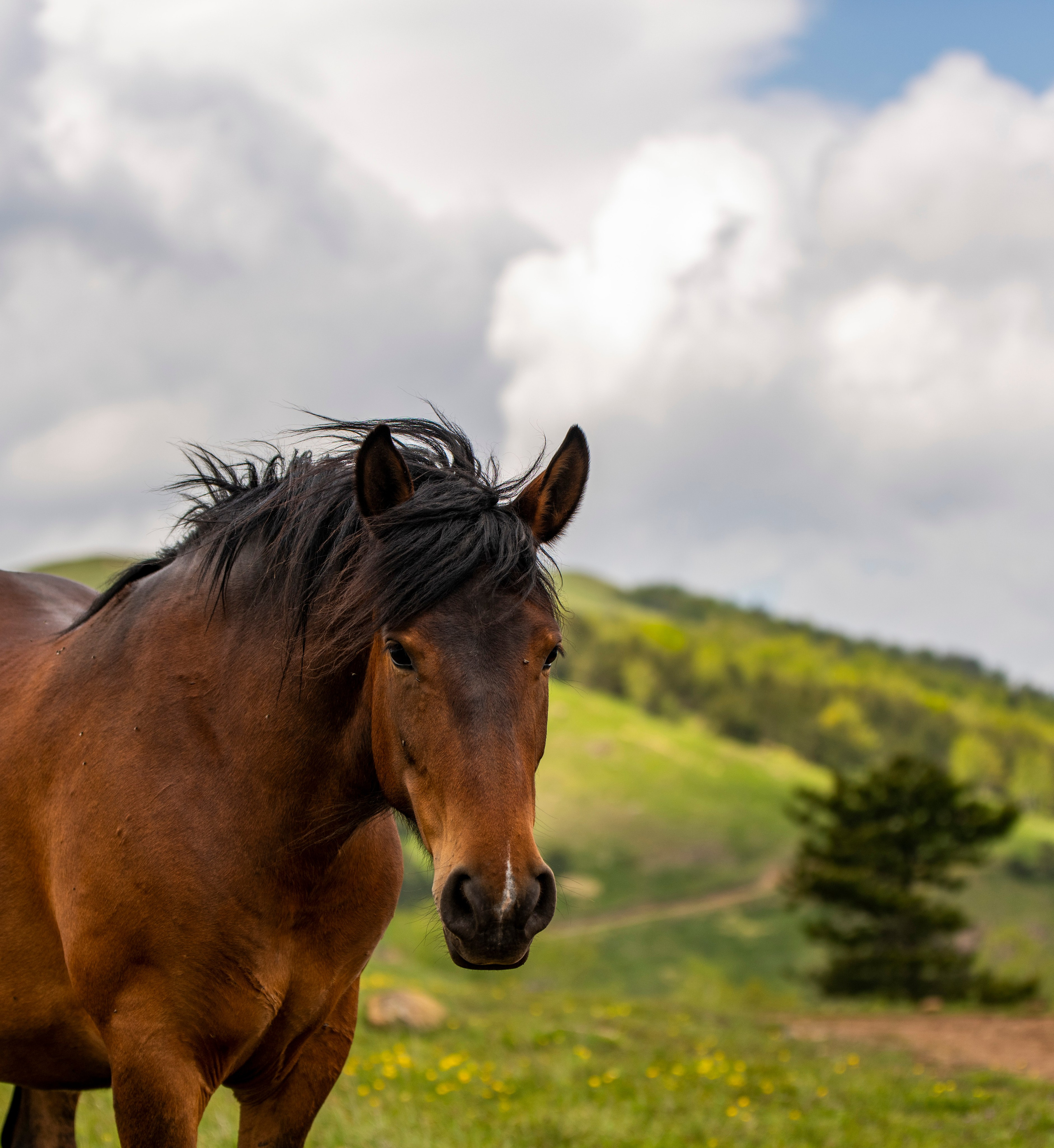 Столови. Сербия. Фотограф в Москве. Шахабудин