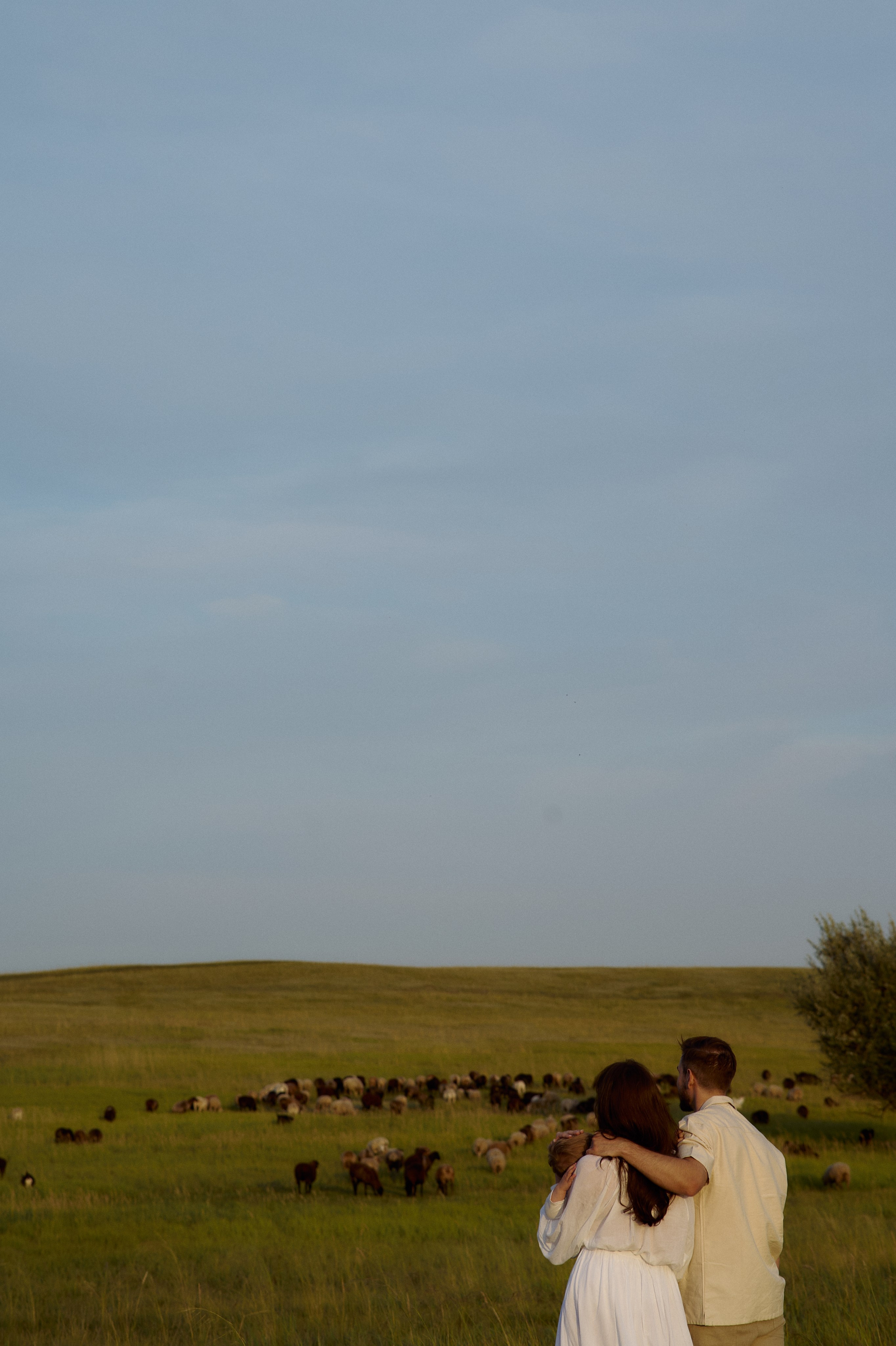 Шамиль, Аня и Марс в поле с барашками. Семейный и свадебный lifestyle-фотограф в Москве Мария Петрова