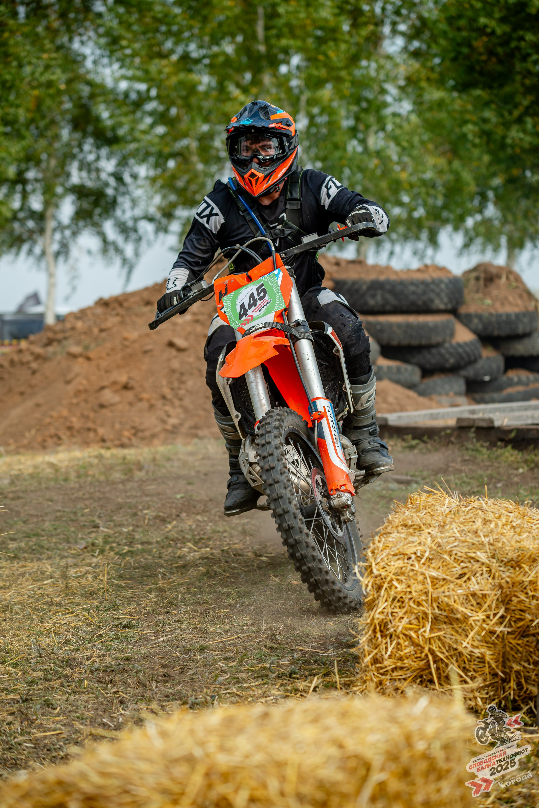 Слободская балка 2025. Фотограф | Макс Борода