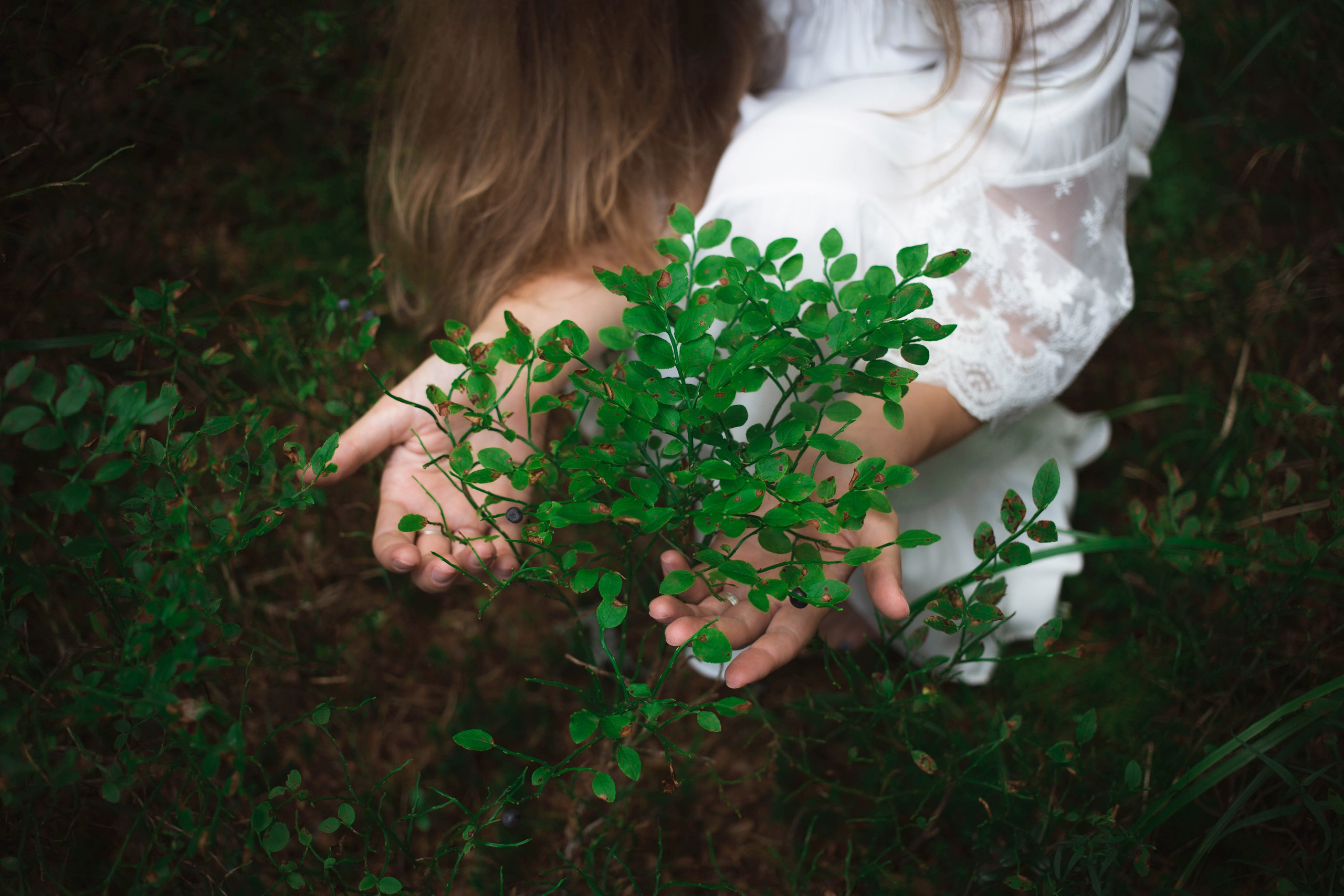 Лесная история: фотопрогулка на природе в Санкт-Петербурге. Портретные фотосессии, контент-съемки, репортаж