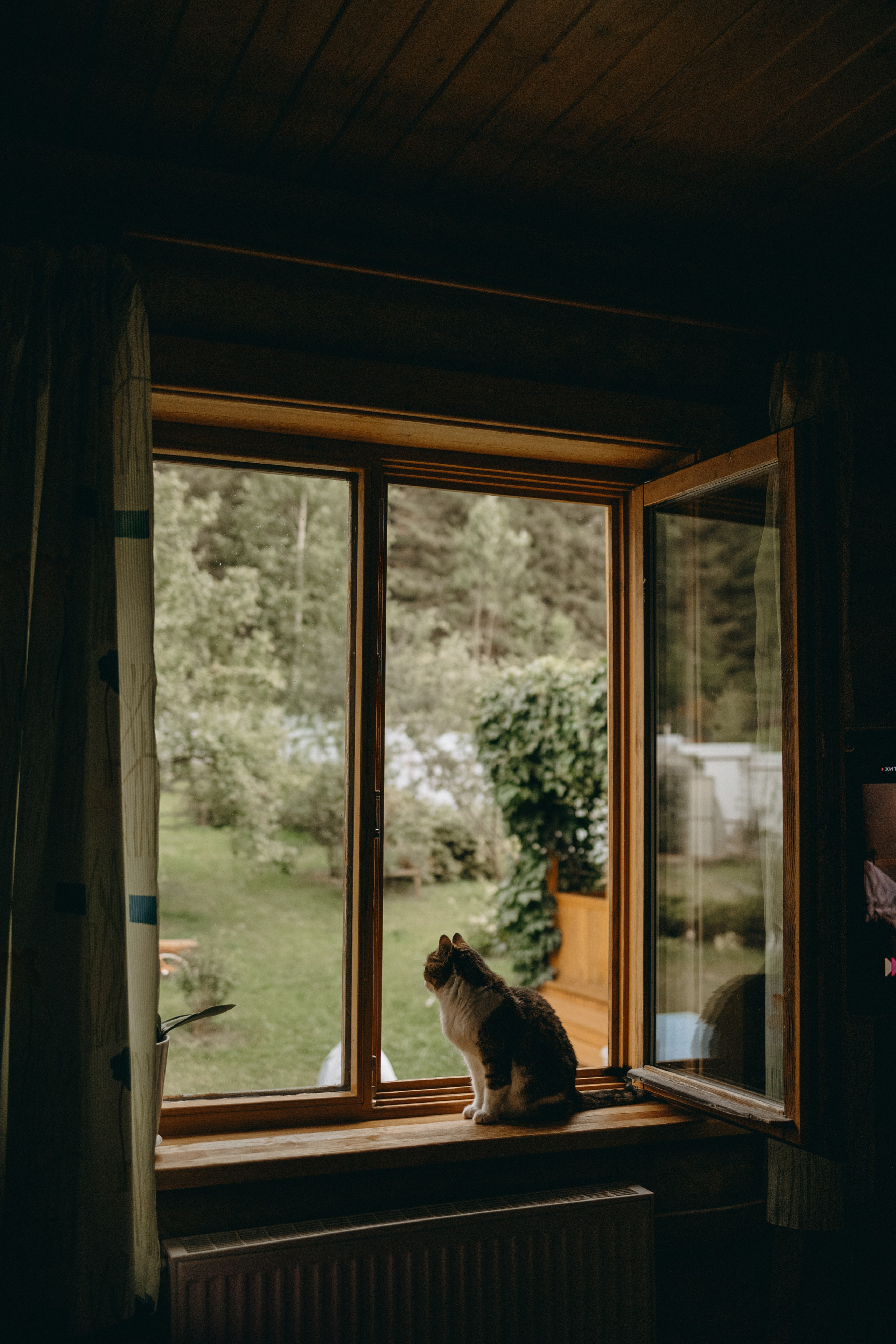 Дом у реки. Фотограф — Анималист | Санкт-Петербург